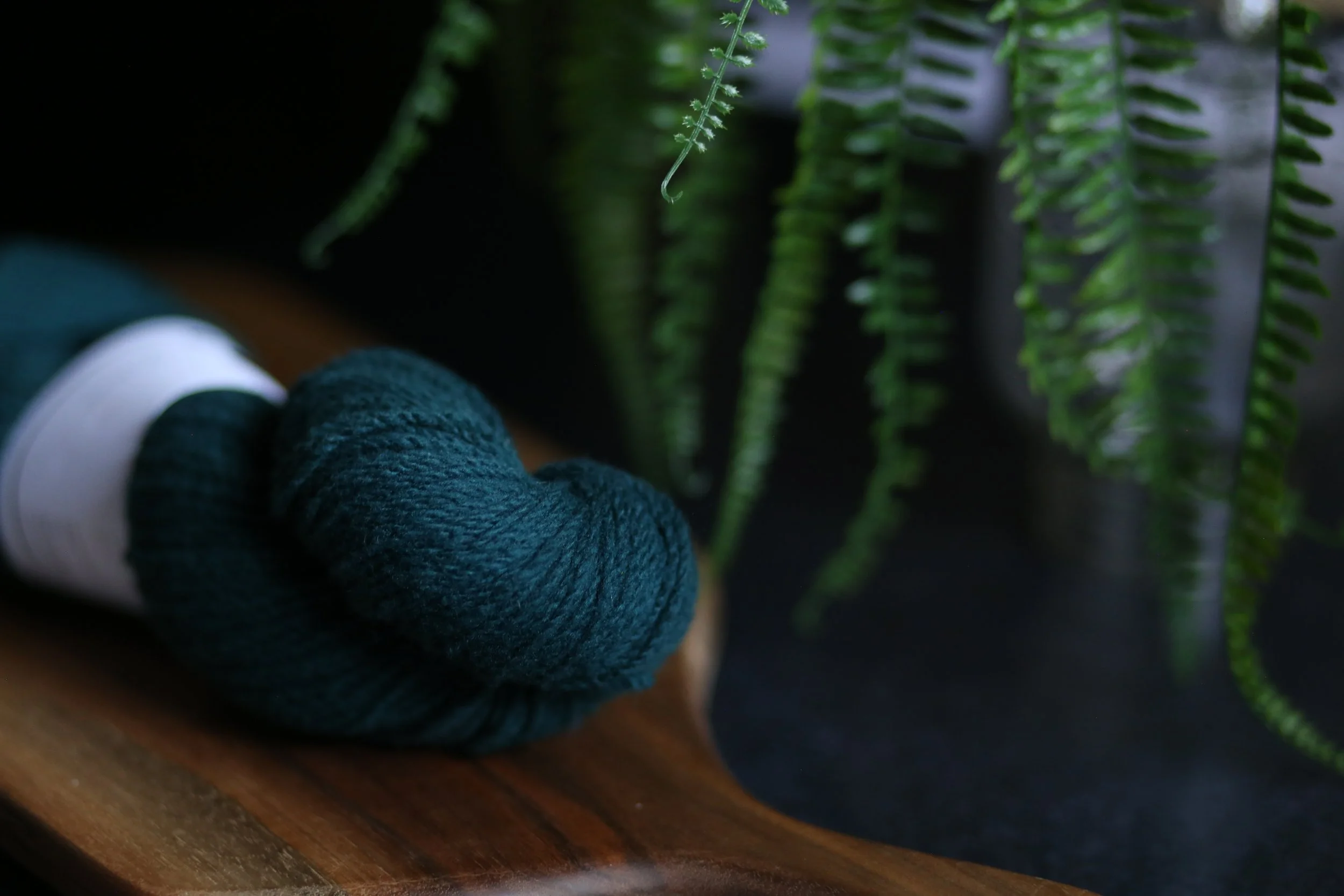 Eternal Twilight(1).JPG