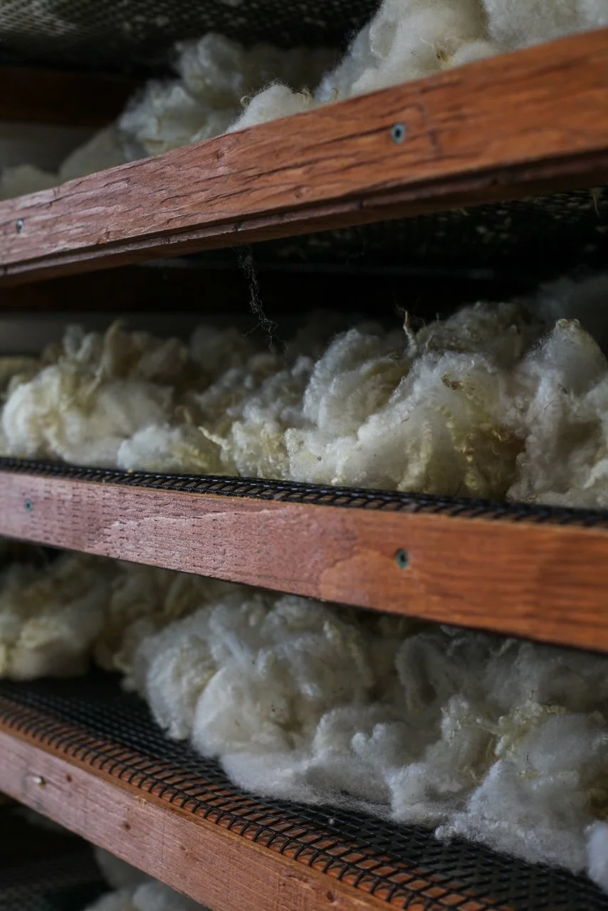 How to Scour Wool at Home Instructions — long way homestead