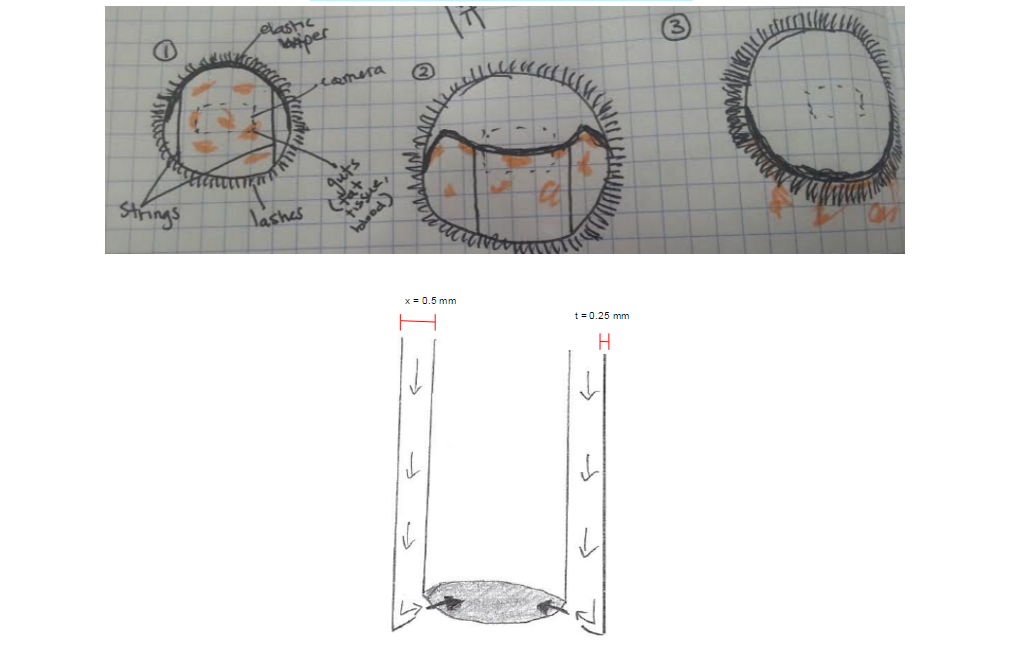  design sketches 