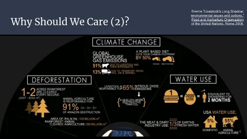 _Greening_ the Meat Industry_Why Should We Care 2?.jpg