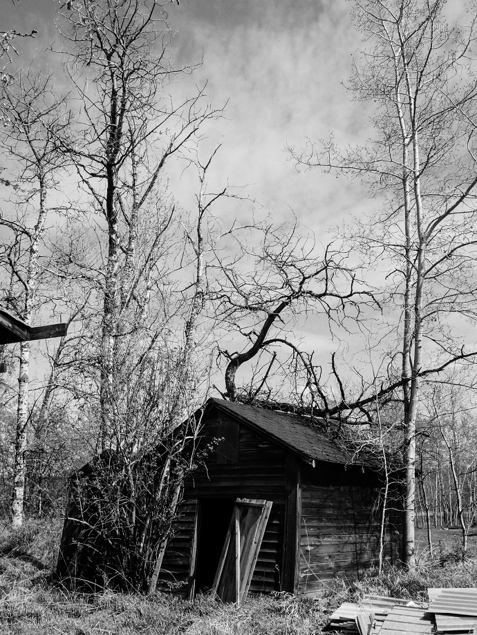 Photo courtesy of brandylaurenphoto.com