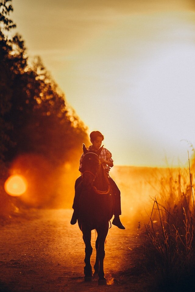 boy-riding-horse-during-sunset-3856371-2.jpg