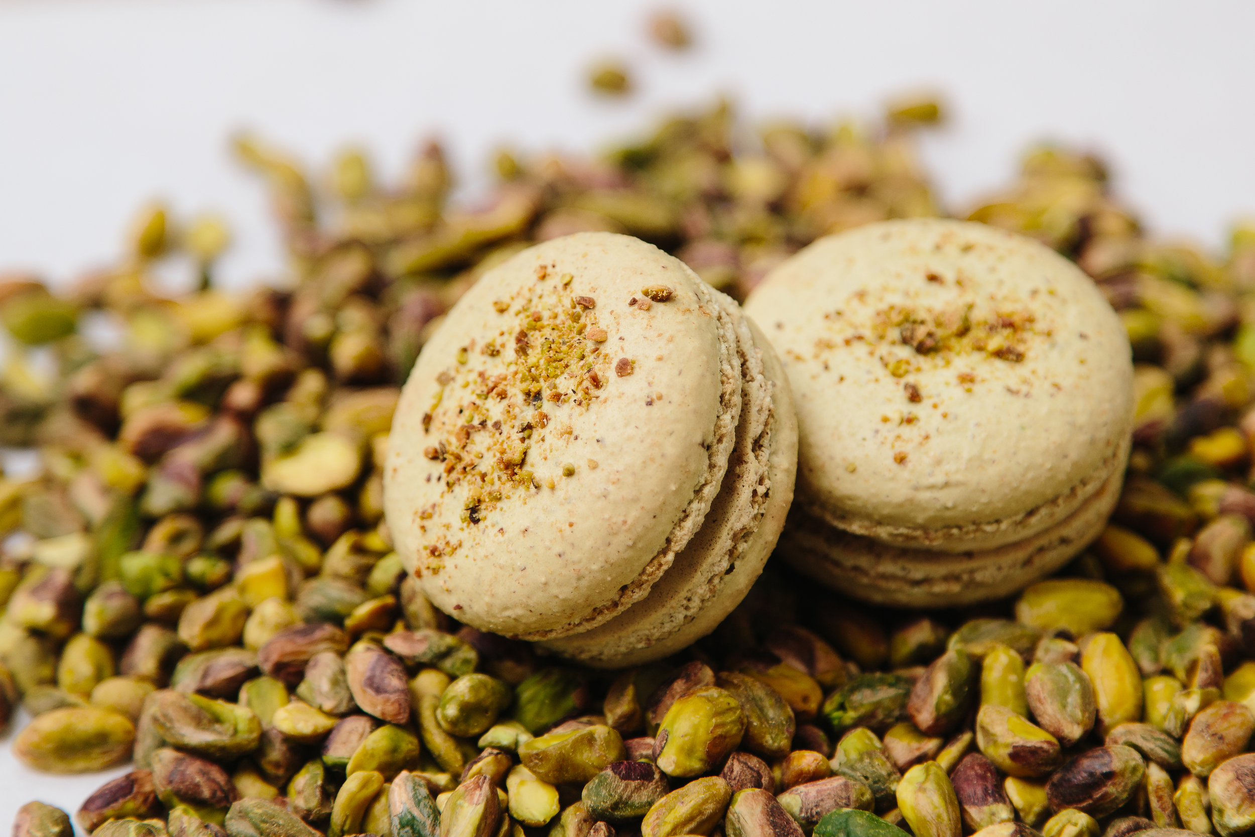 Pistachio Macaron