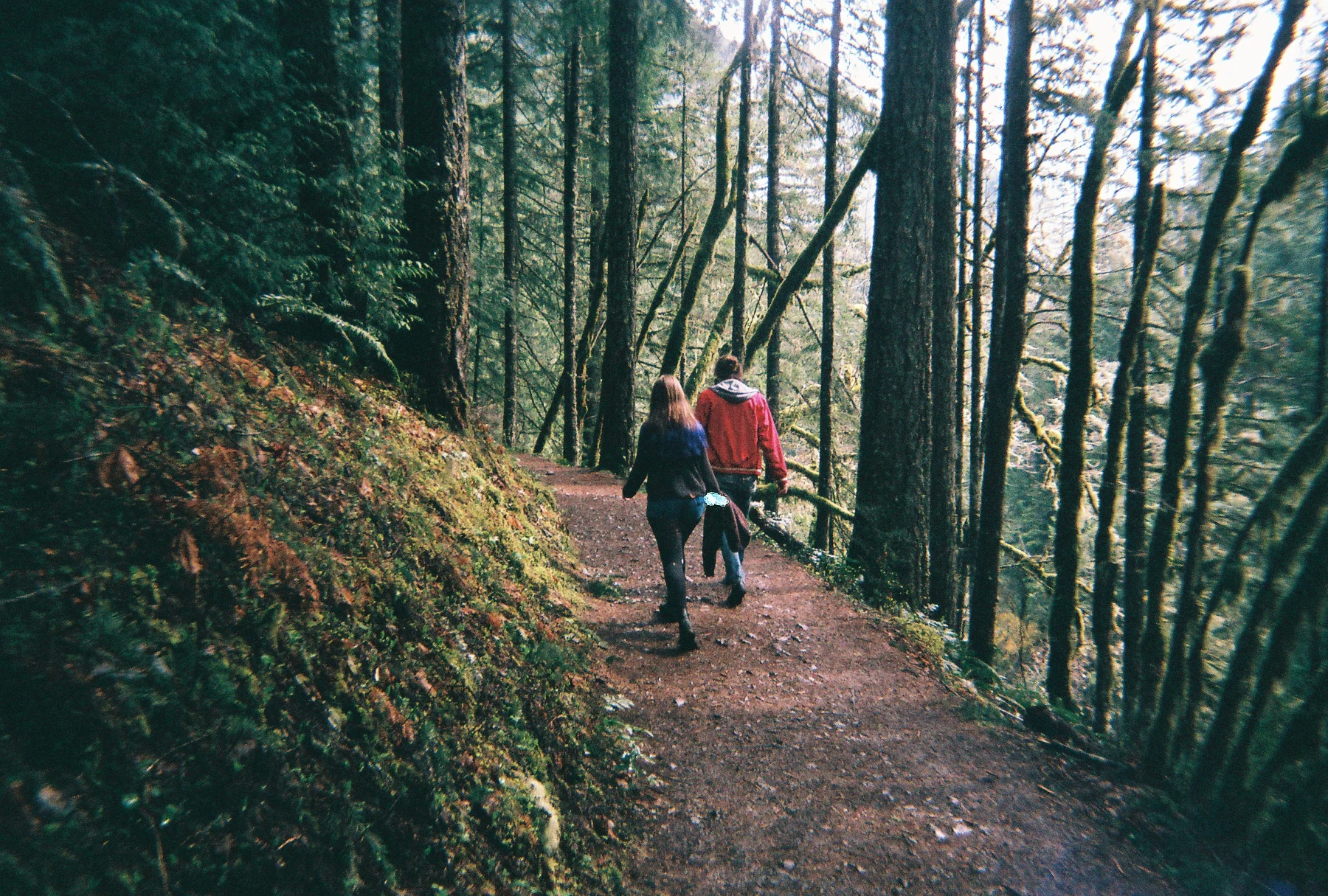 R1-03965-008A.jpg