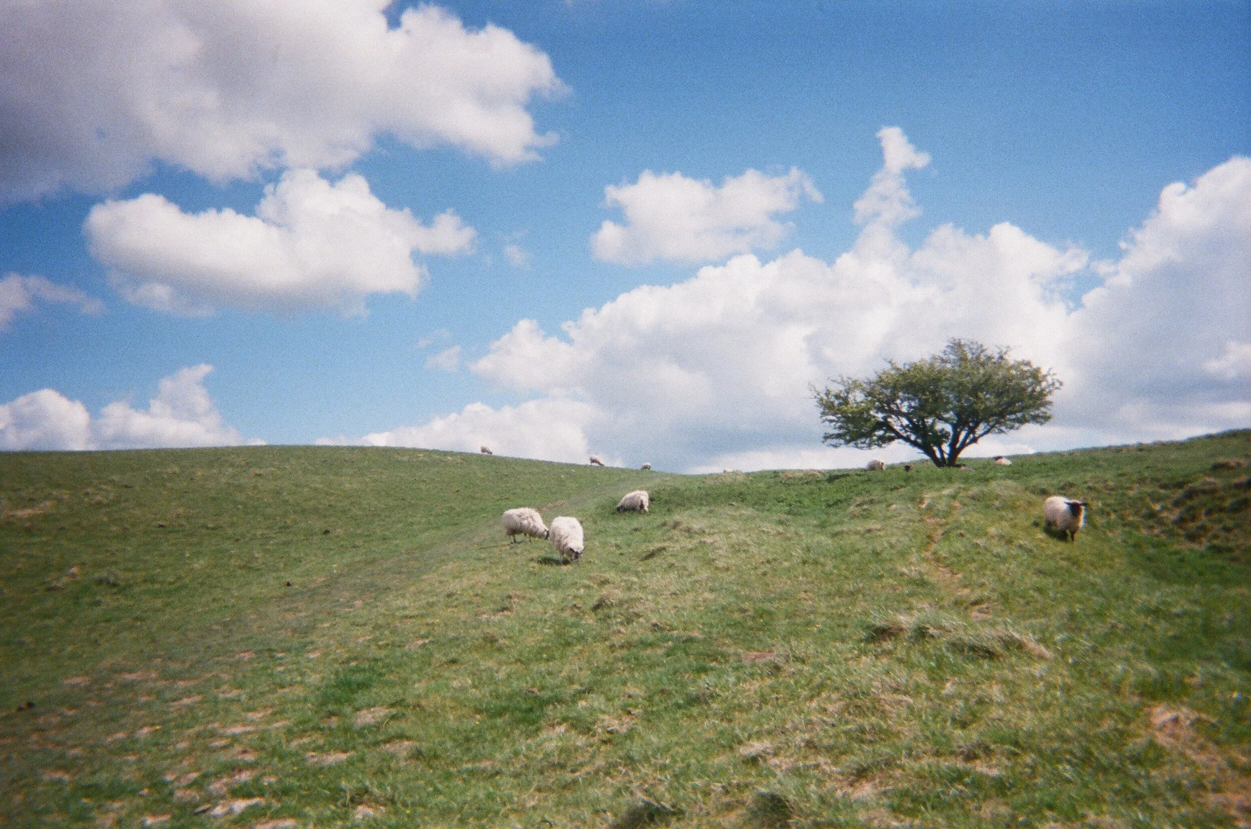  Uffington White Horse, UK 