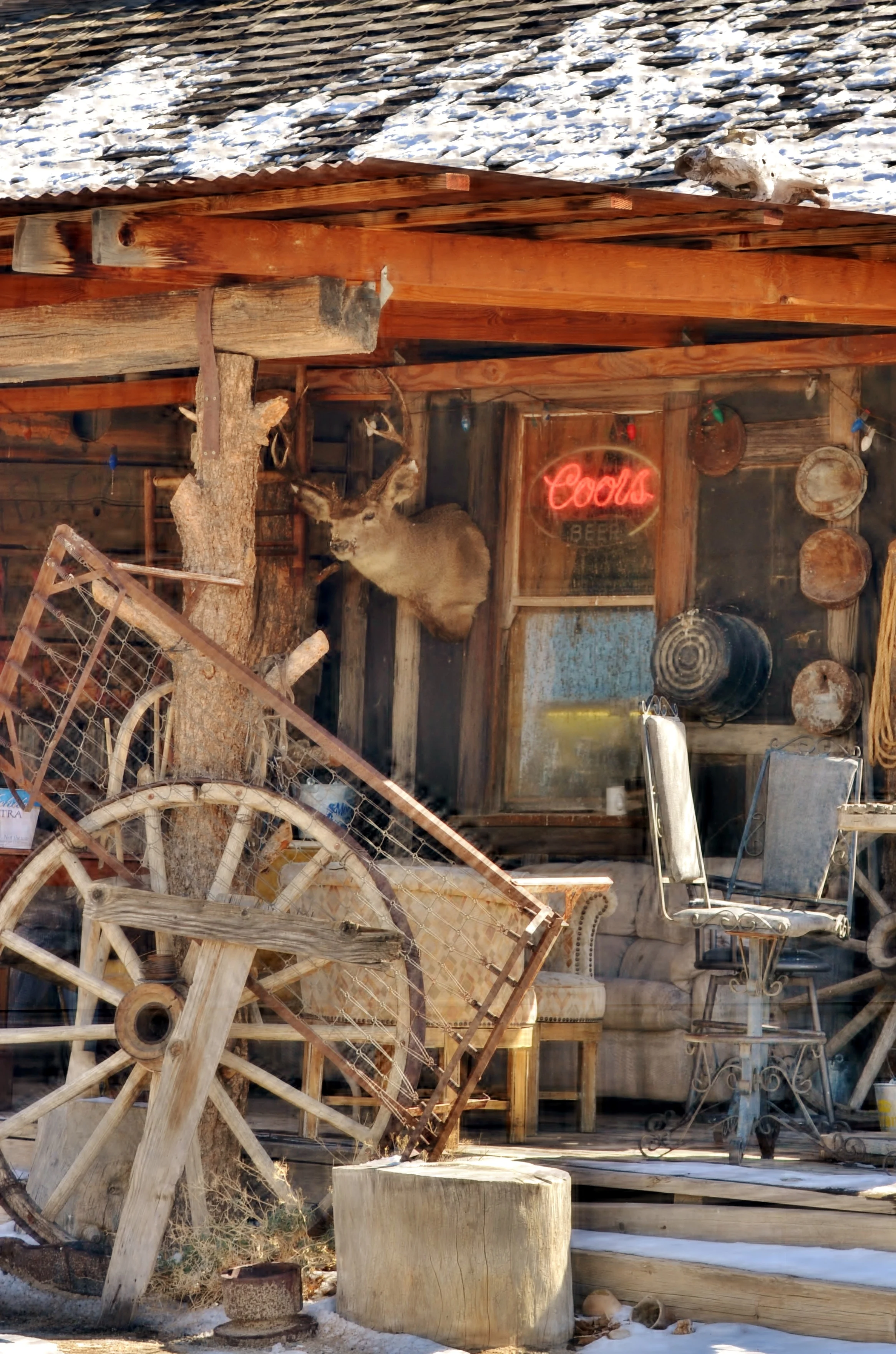 DSC_0237 - Copy.JPG