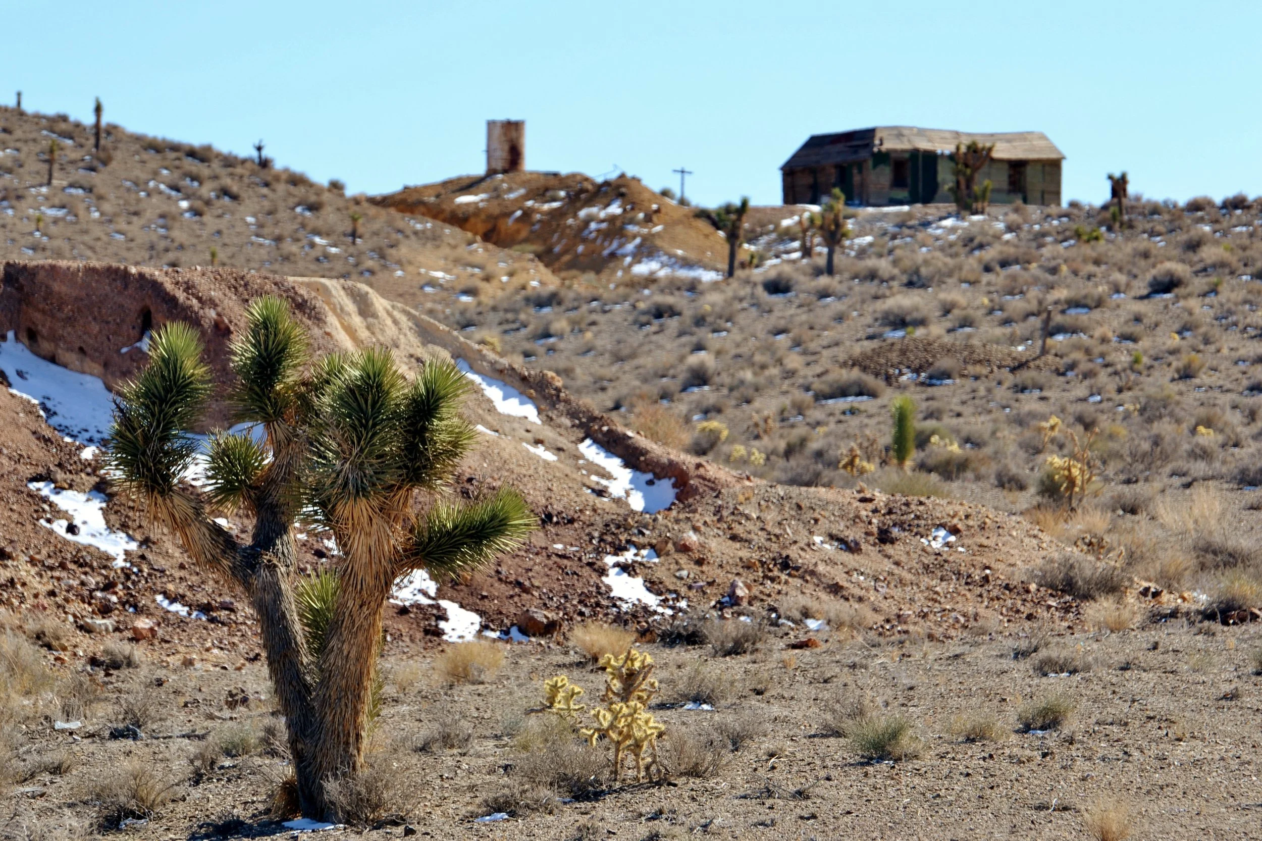 DSC_0239.JPG