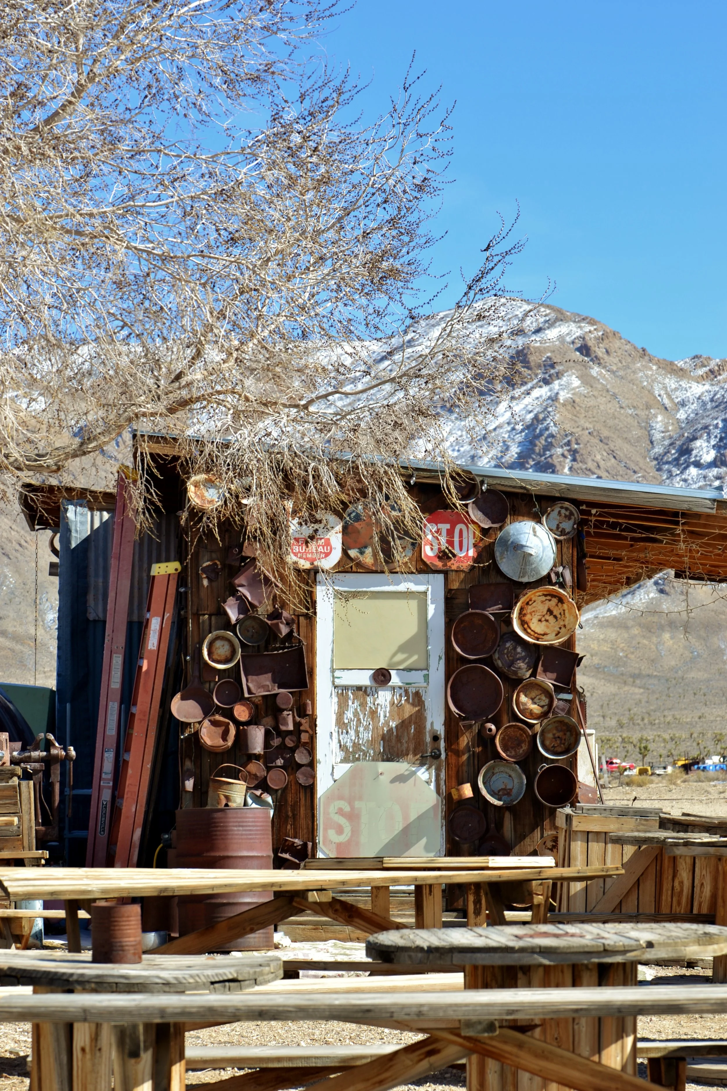 DSC_0243.JPG