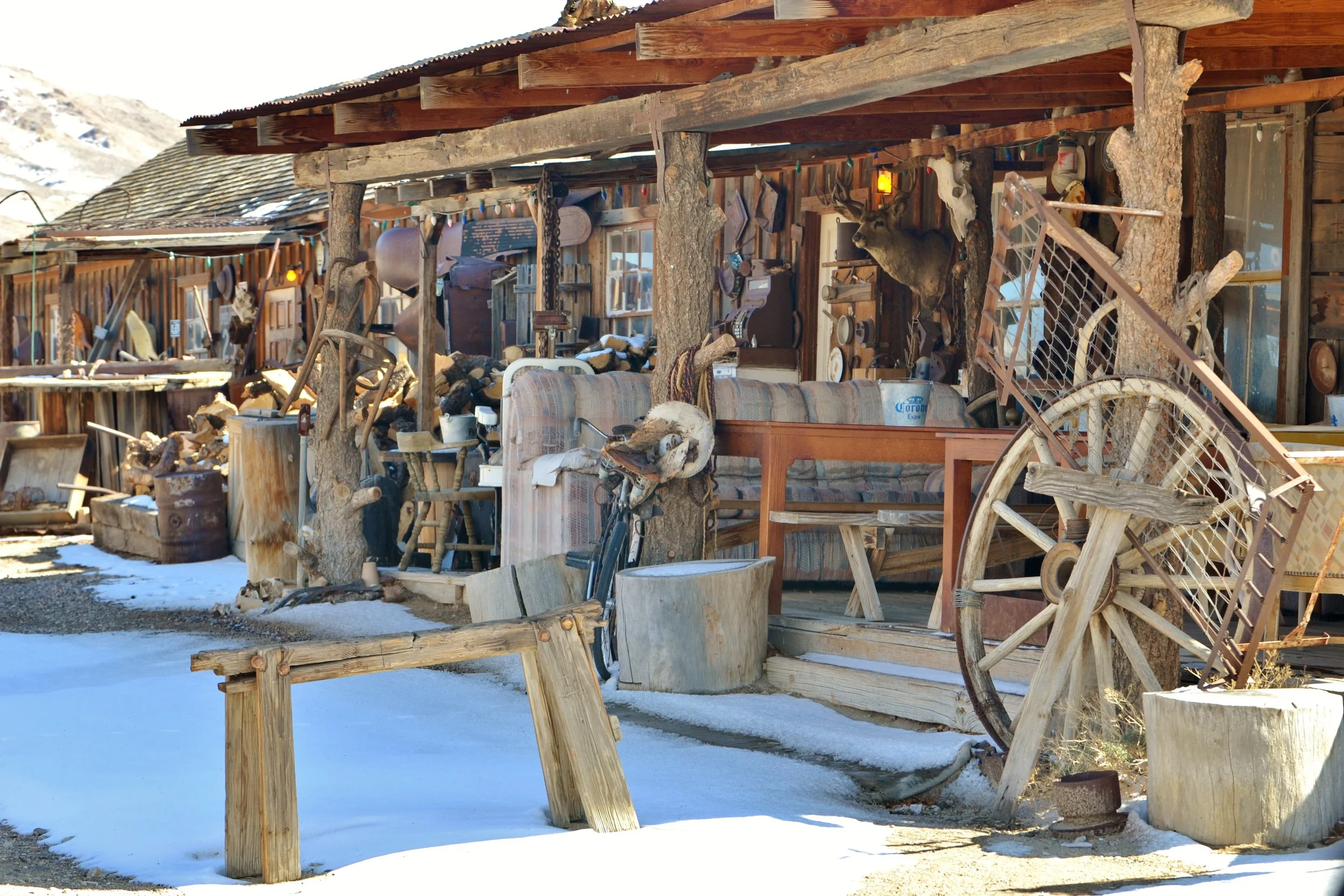 DSC_0245.JPG