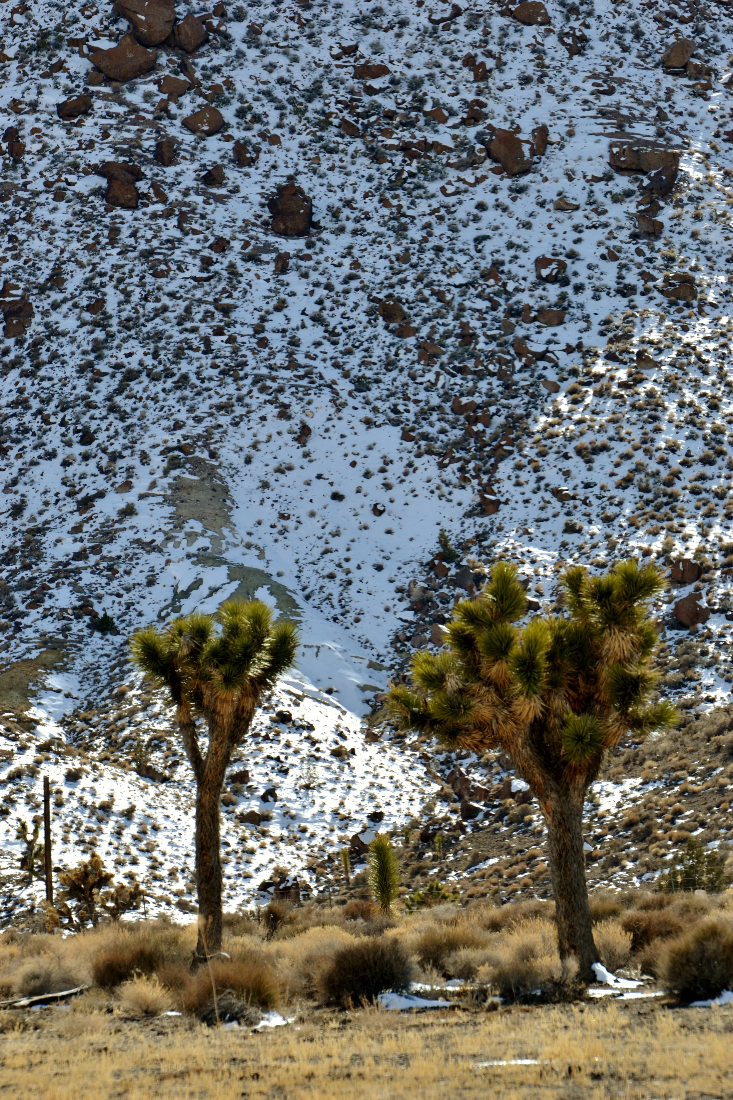 DSC_0281.JPG