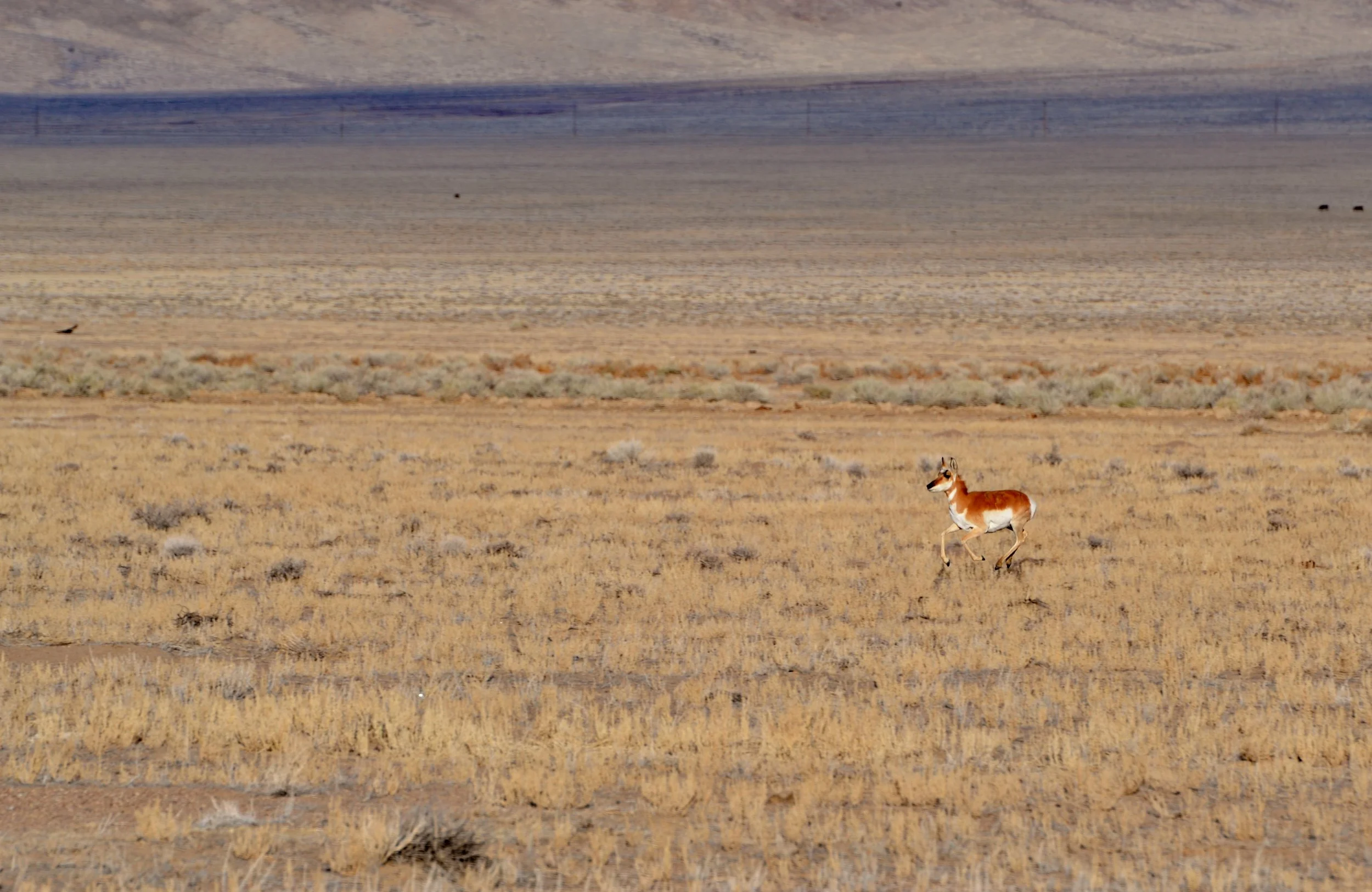 DSC_0392.JPG