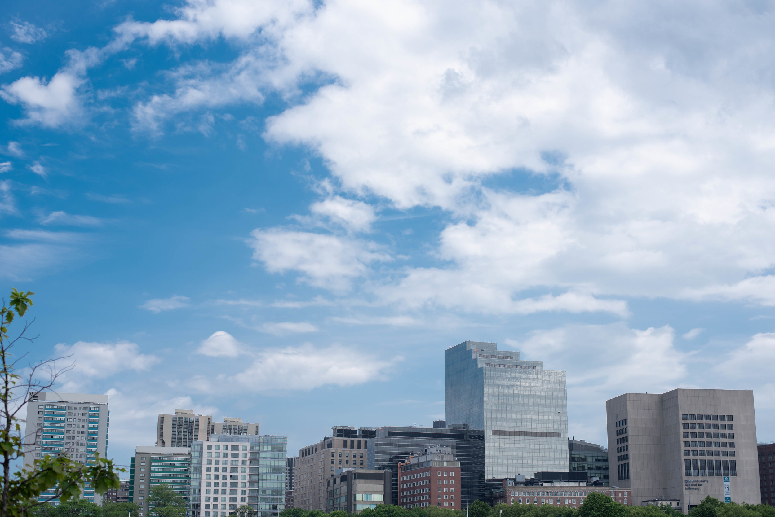 Boston Skyline-3245.jpg