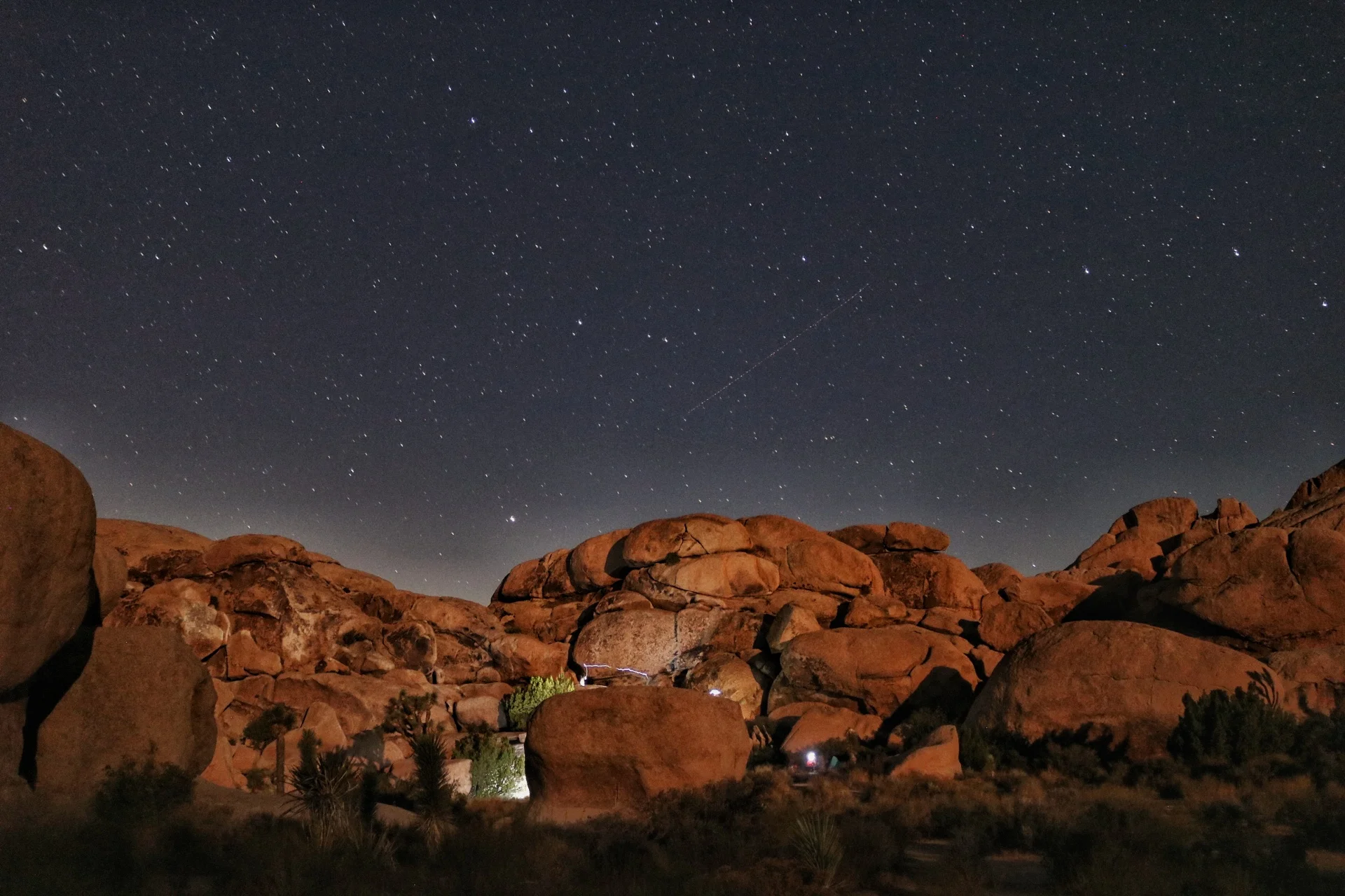 Desert Daze × Fat Tire Present a Benefit for Joshua Tree National Park