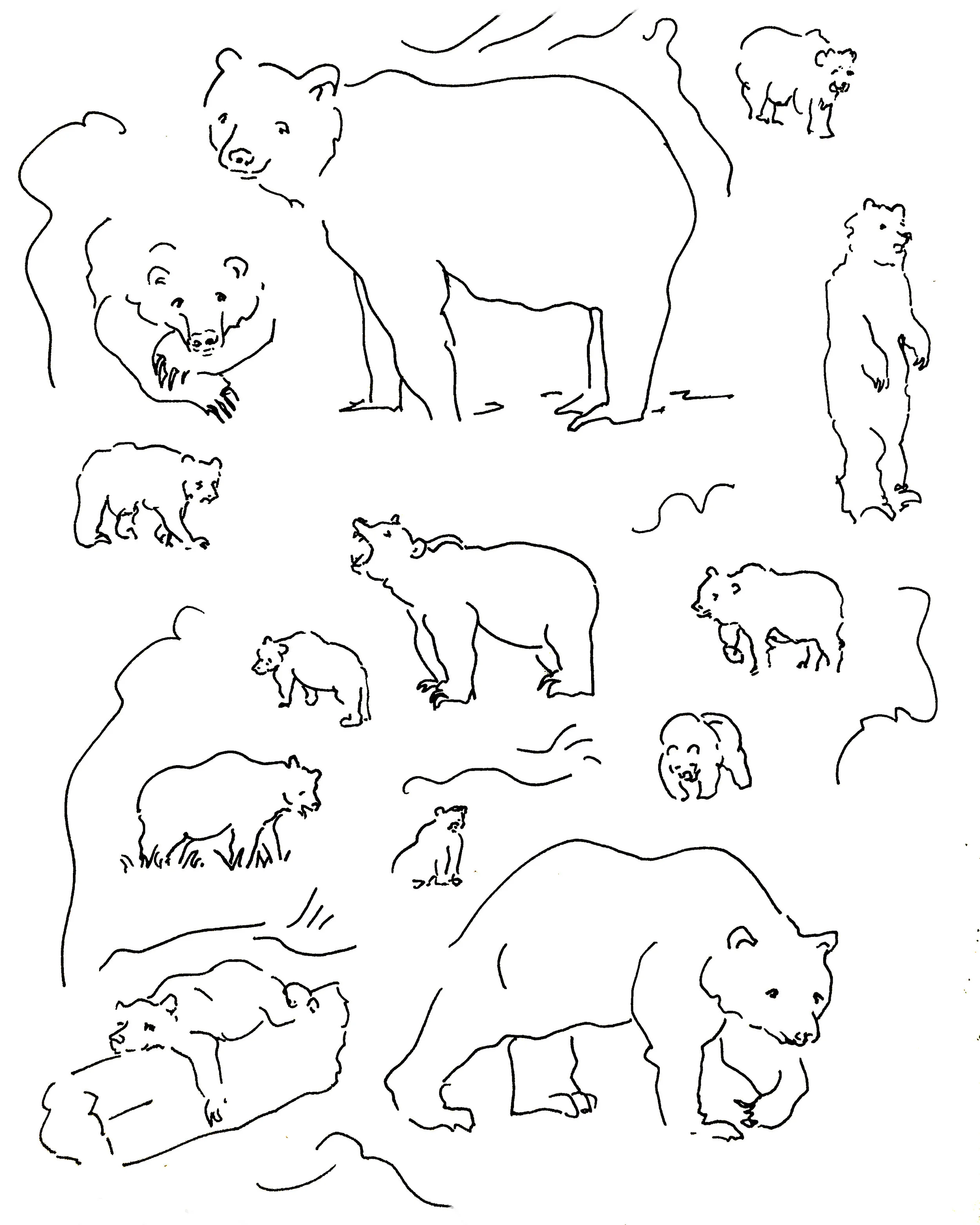 bearmagic.jpg