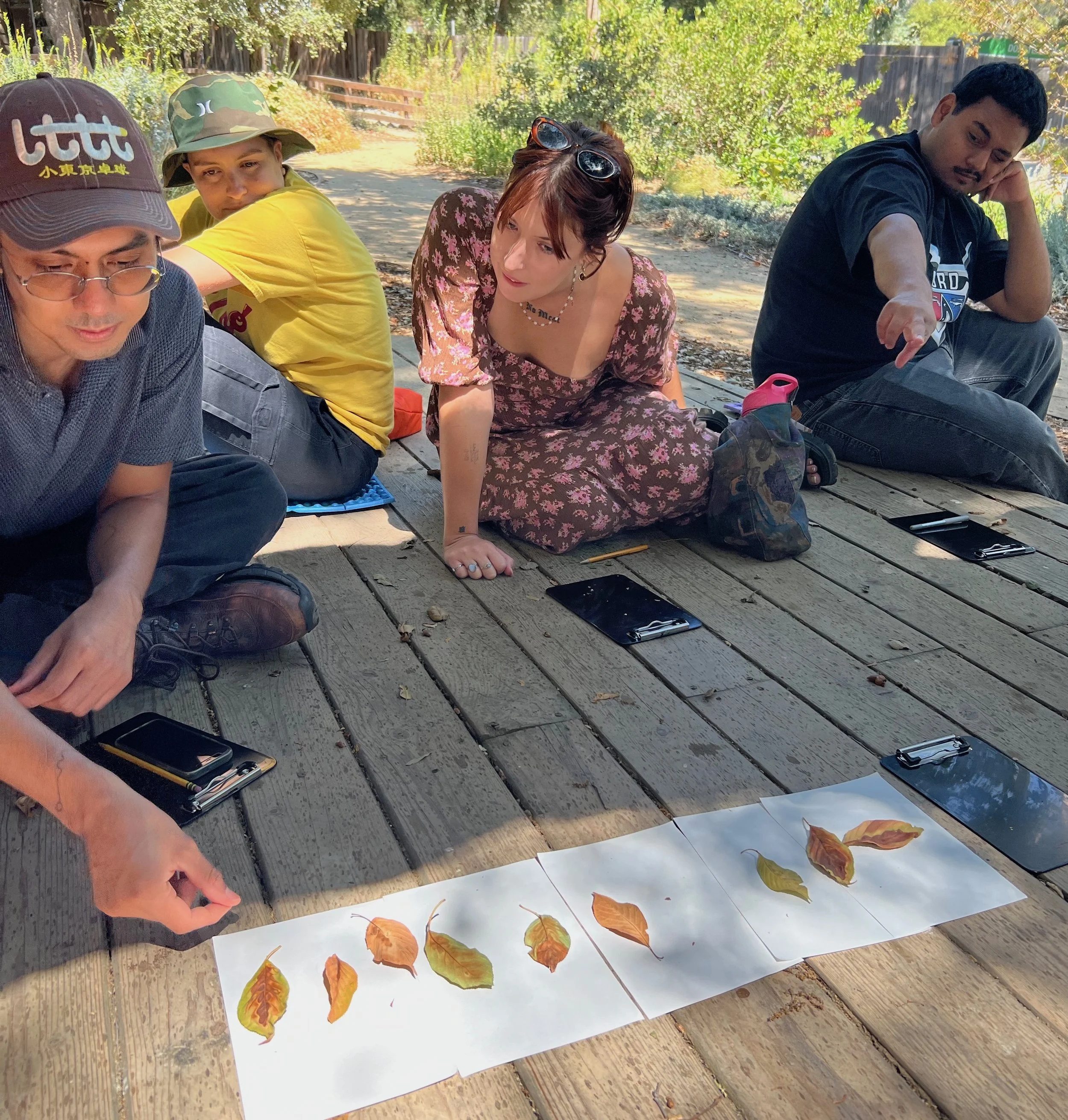 People look intently at a collection of leaves, pointing and thinking hard