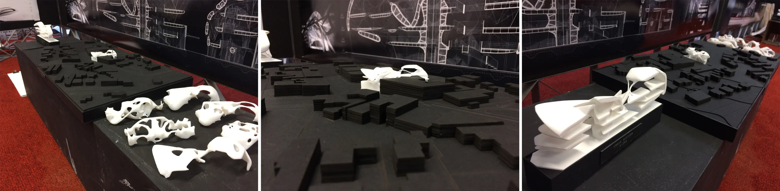 Coherence Models copy.jpg