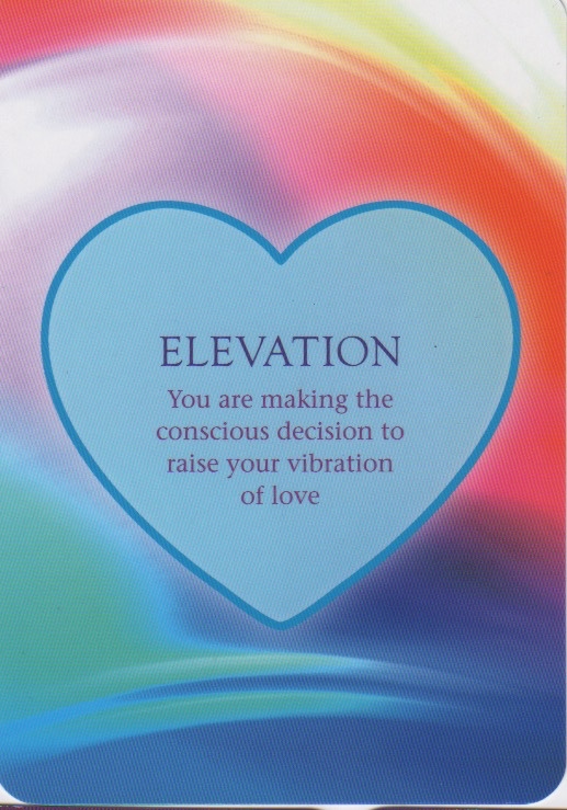 Elevation.jpg