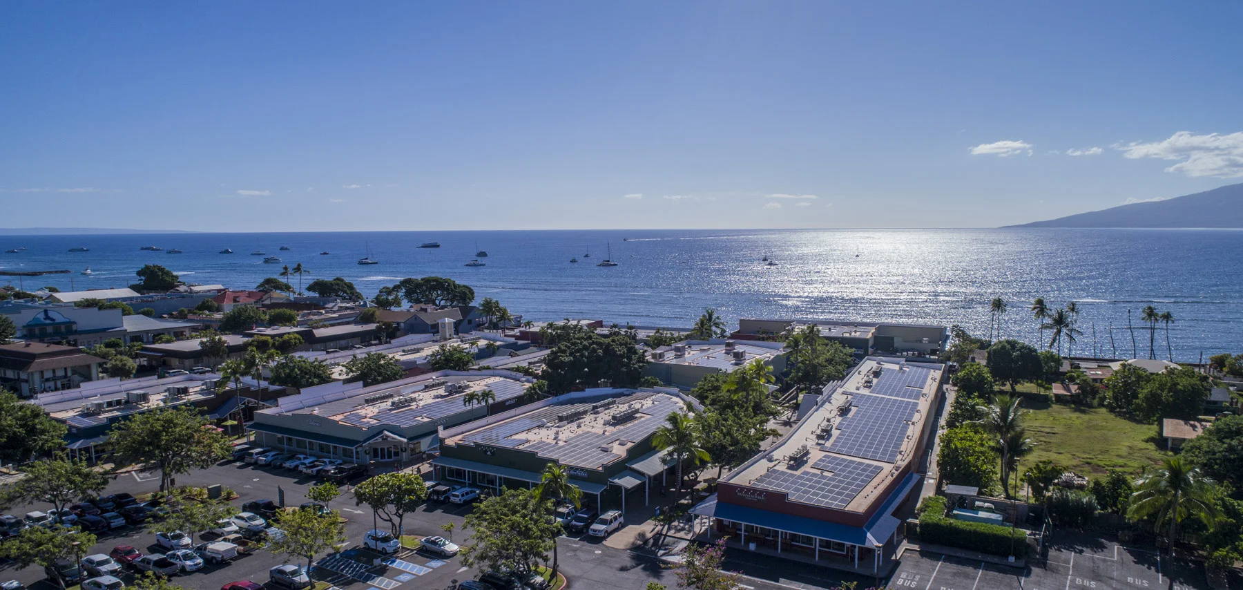 DJI_0043-web.jpg