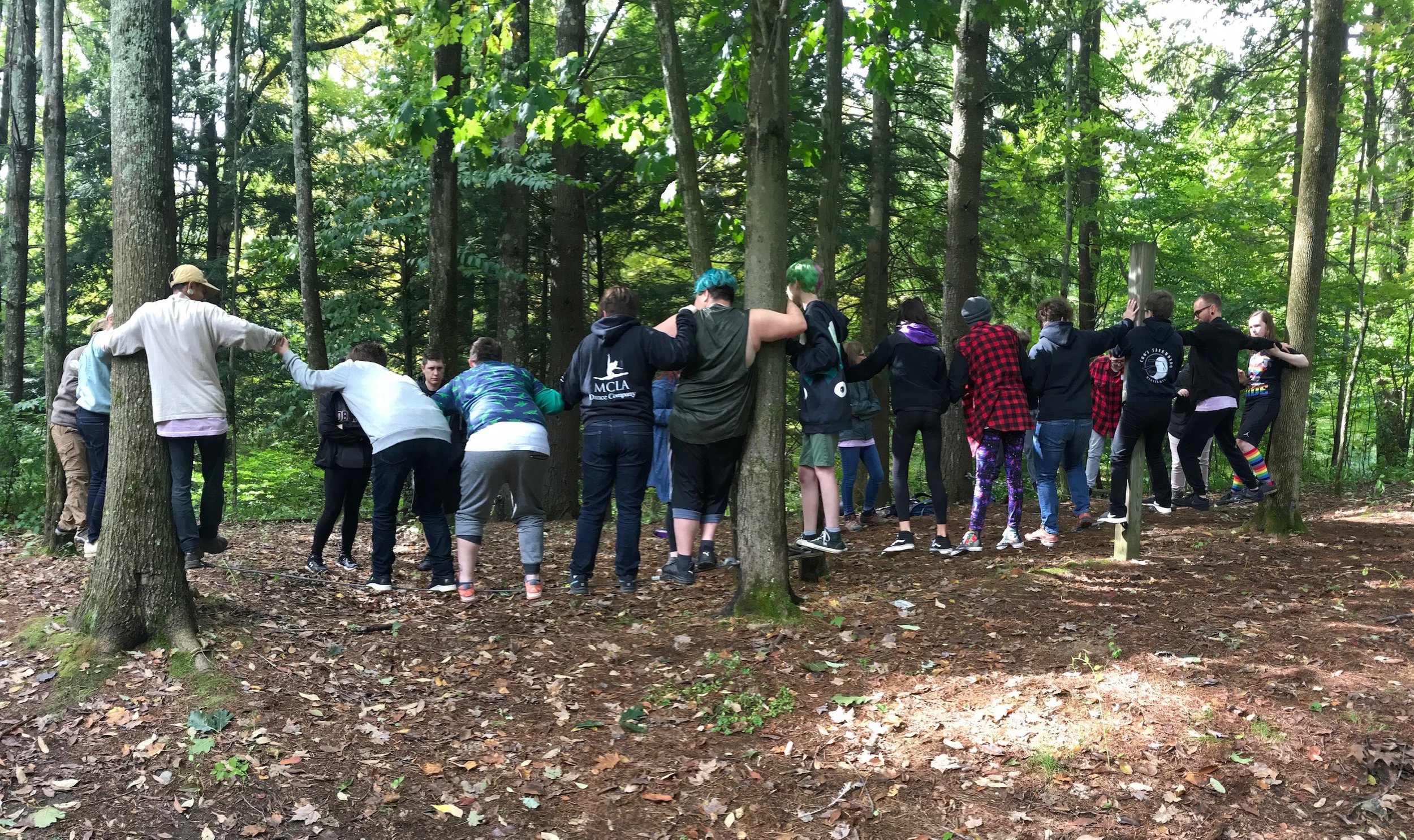  A group of teens try to balance on a wire held between two trees.  A third wire tied to the left most tree is going away from the camera and holds some more teens balancing. 