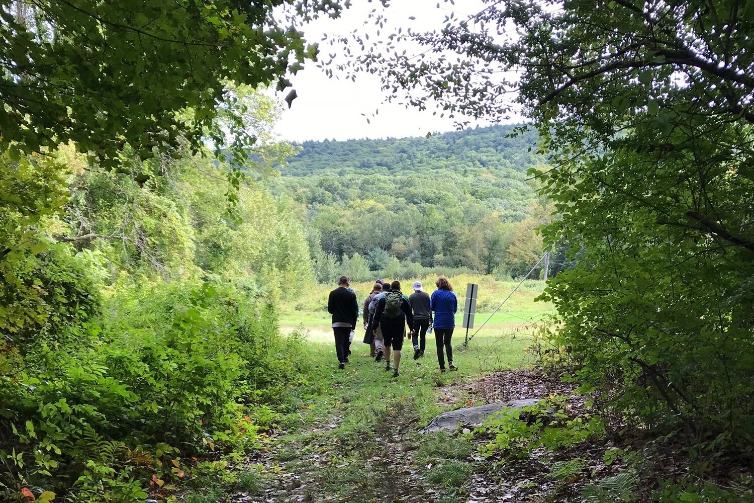  A group of five walks away from the camera between two large swaths of bushes and trees. A field can be seen at the end of the passageway made from the greenery. 