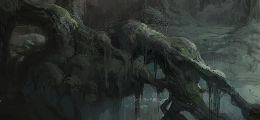 The foreground