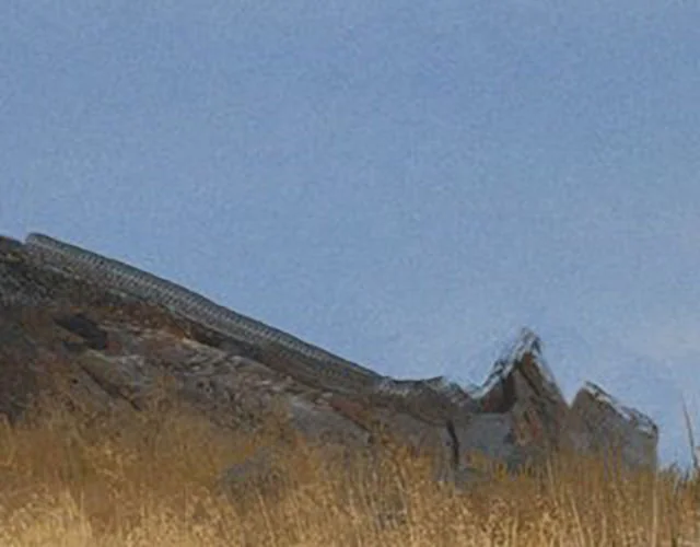 The background
