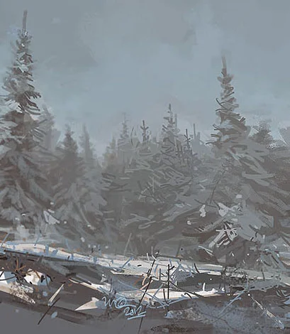 Can you see the forest for the trees?