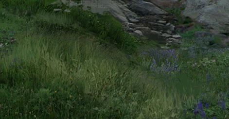 Dat grass