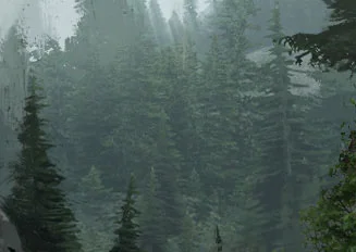 The background forest