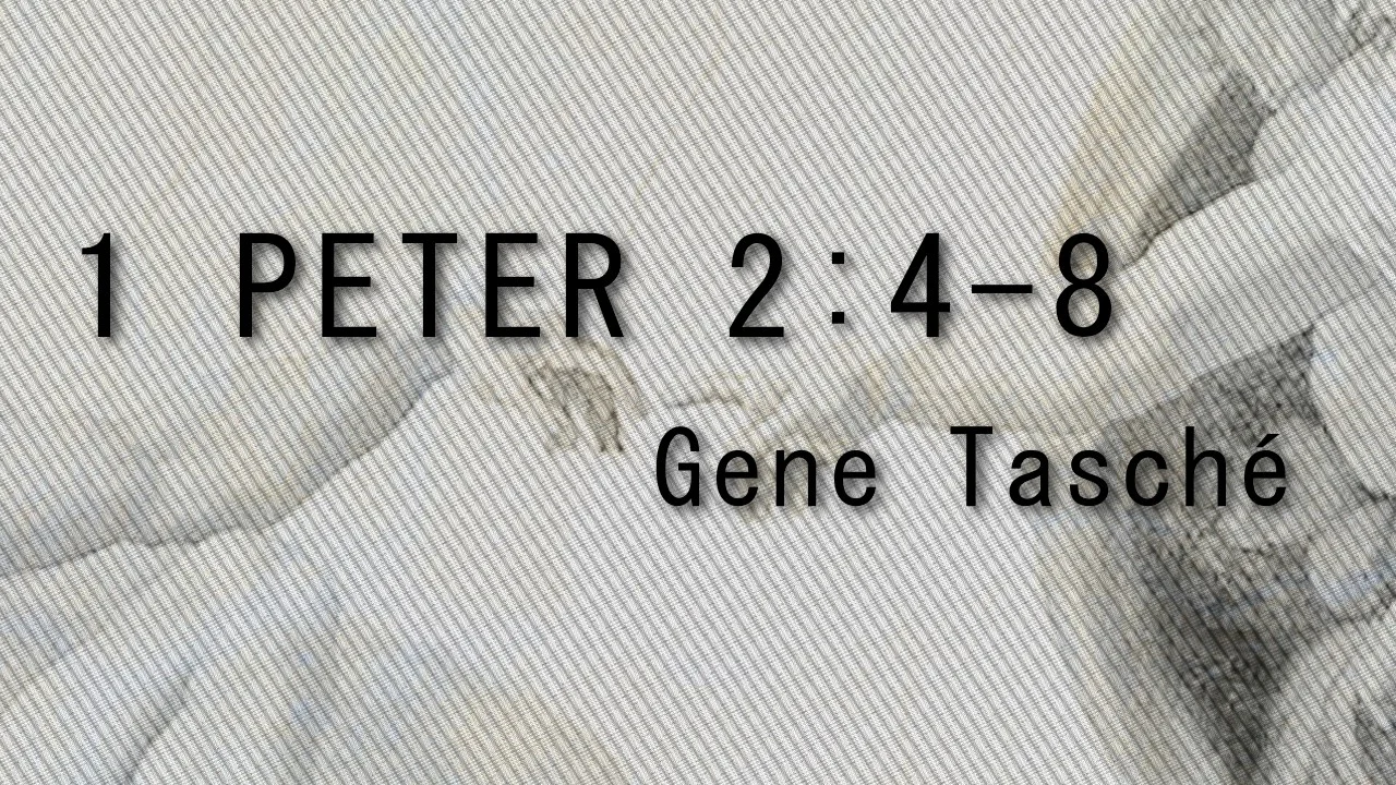 1-peter-2-4-8-gene-tasche-calvary-wallingford