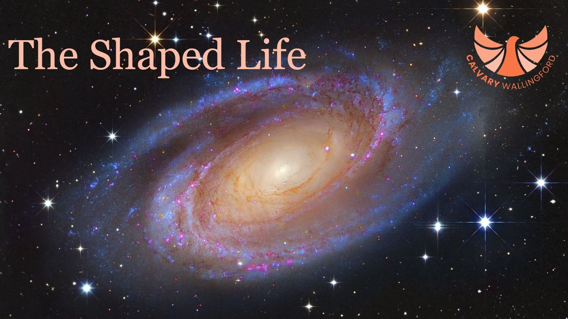 The Shaped Life
