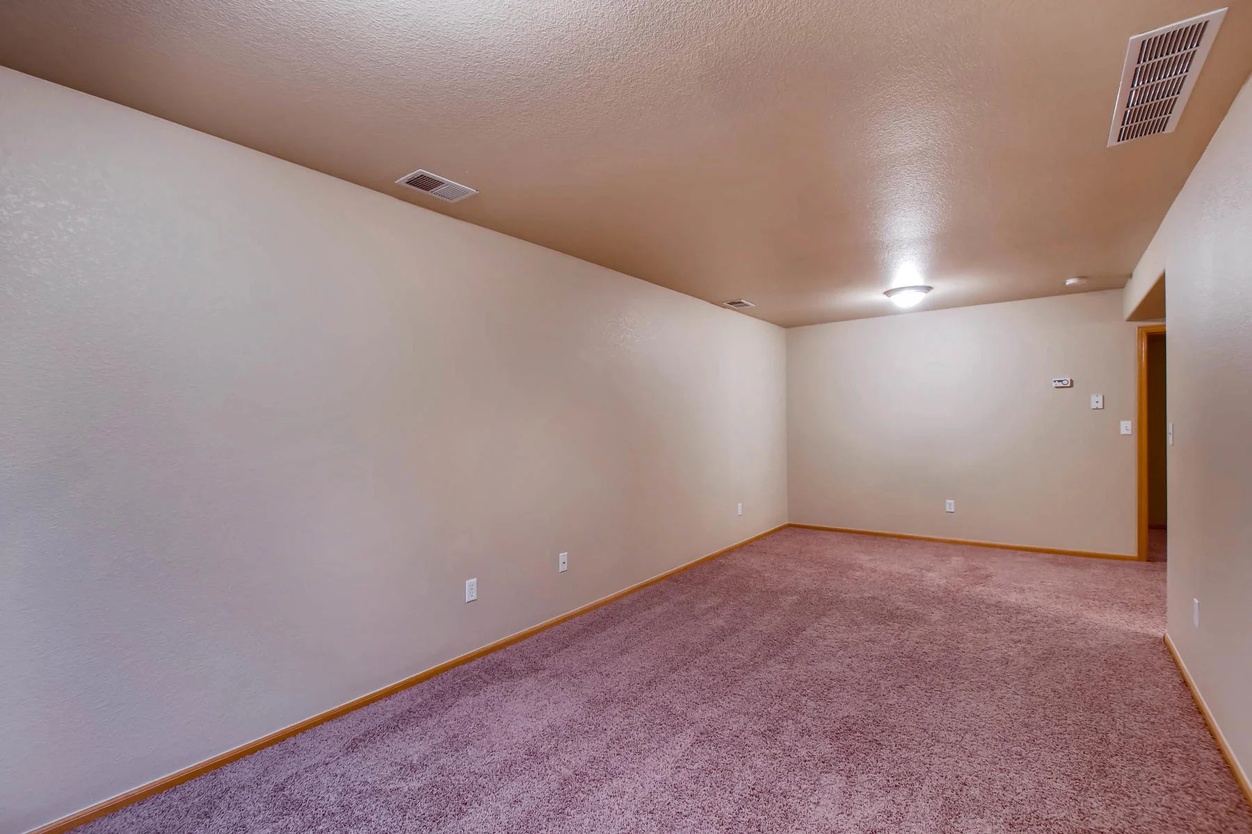 Finished Basement w/ Bed & Bath