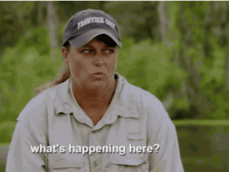 Rates, The Market… What’s Happening Here?!