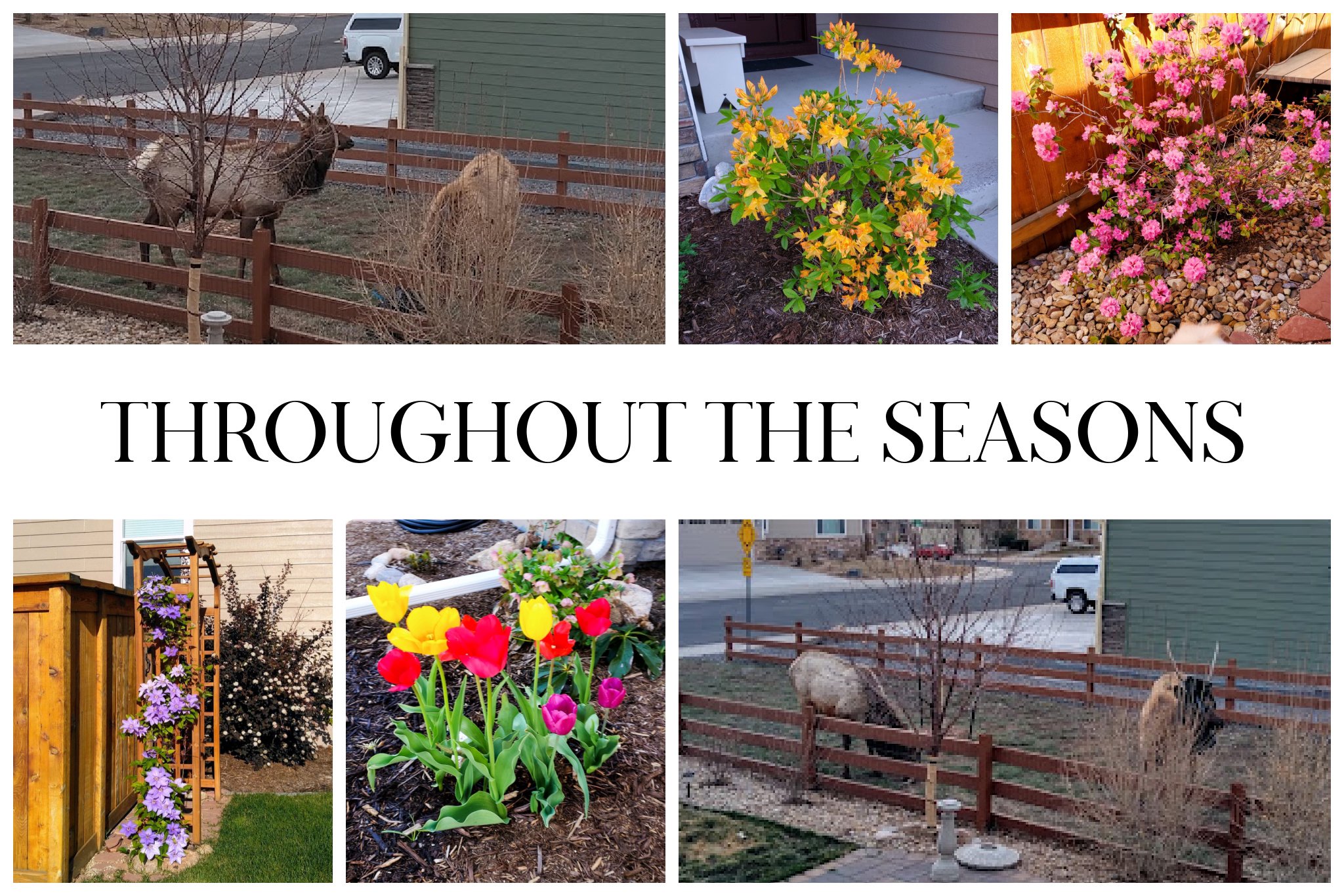 Enjoy Beautiful Flowers &amp; Wildlife in this Picturesque Home and Neighborhood