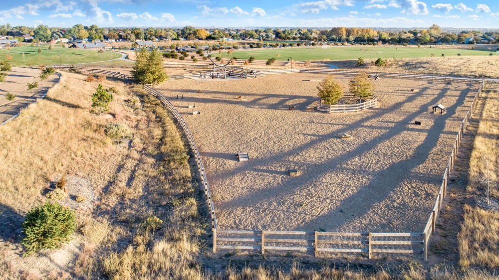 Large Dog Park Area!