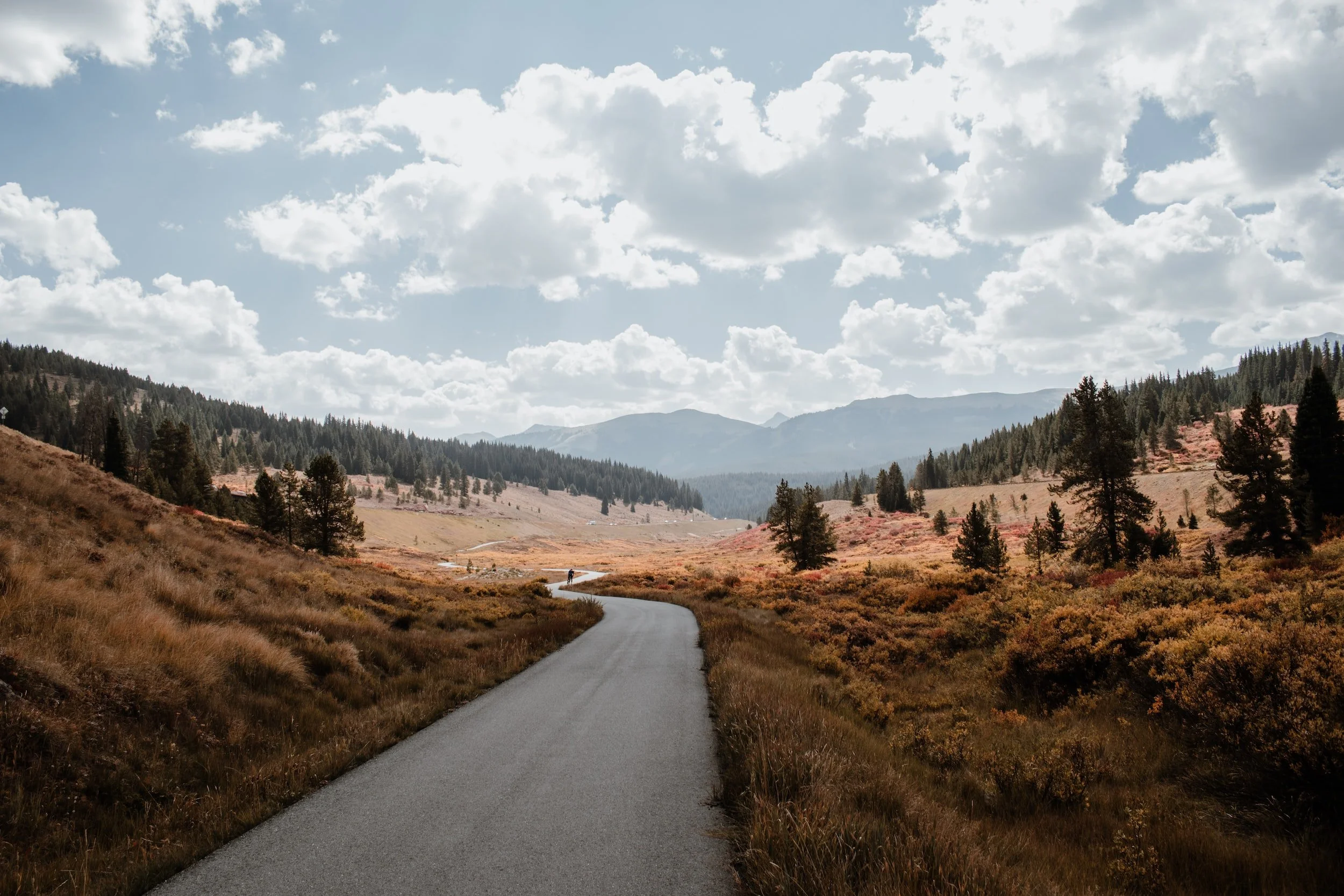 unsplash-image-mRFApSUyy8A.jpg