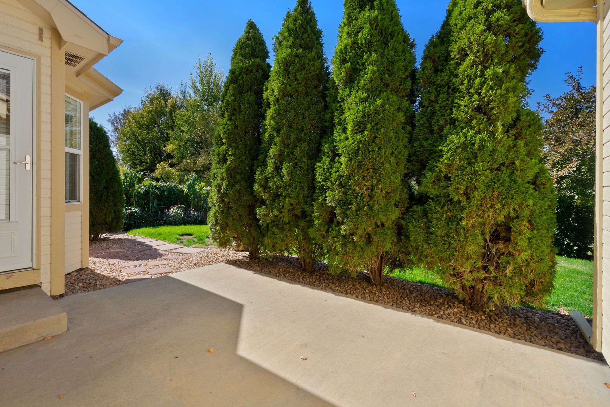 Mature Landscaping around the Patio in the backyard!