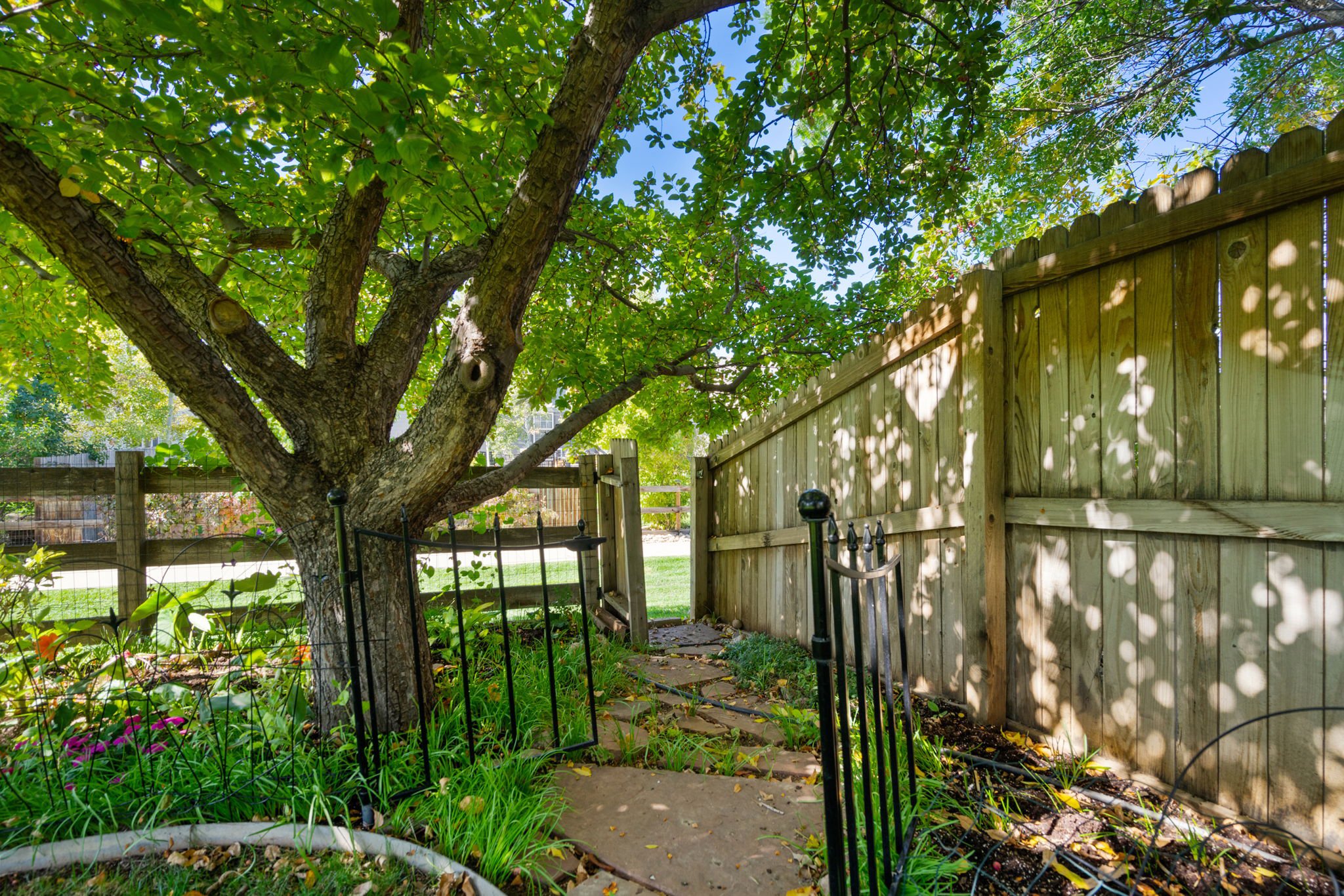 Lovely and Easy Access to the Walking Paths from the Backyard