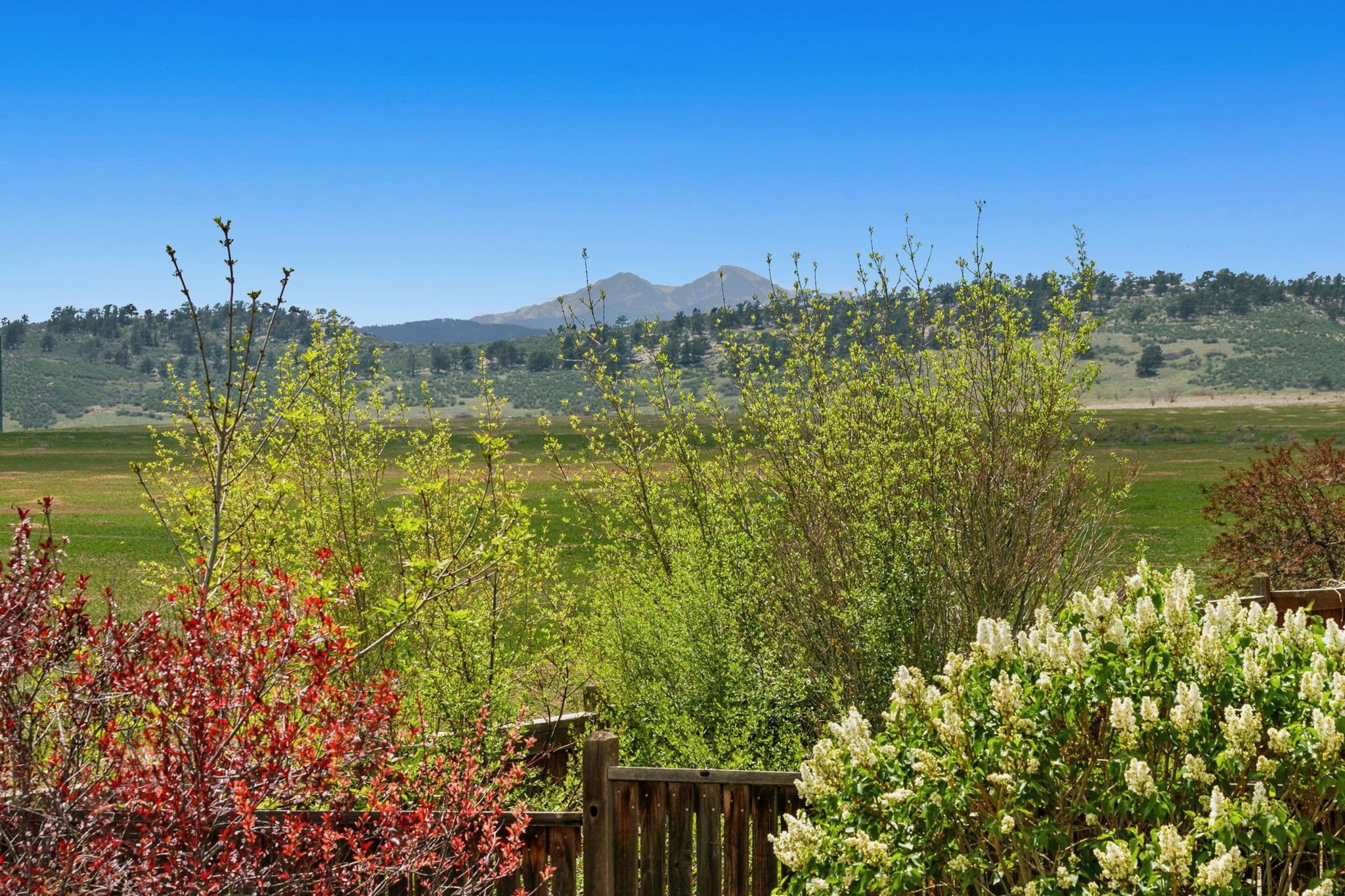 Stunning Mountain Views (Backyard)