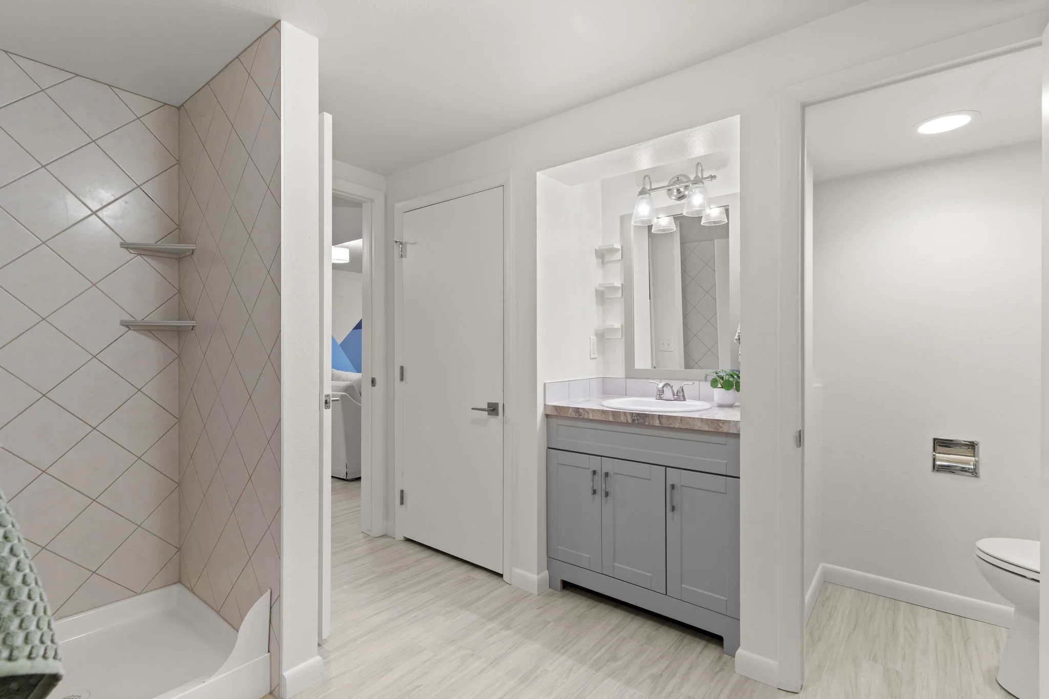 The mother-in-law bathroom in basement