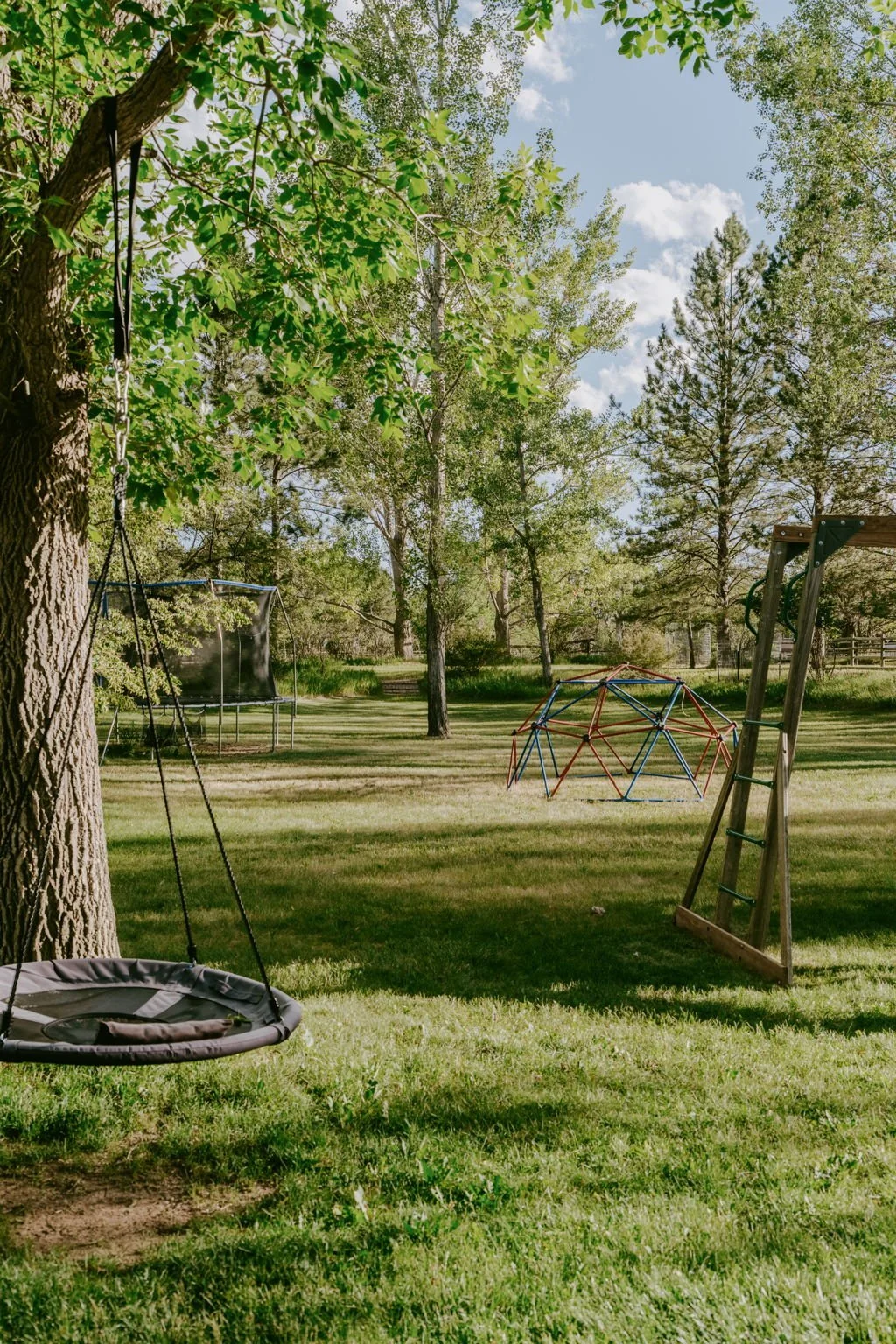Backyard views to the HOA owned nature park