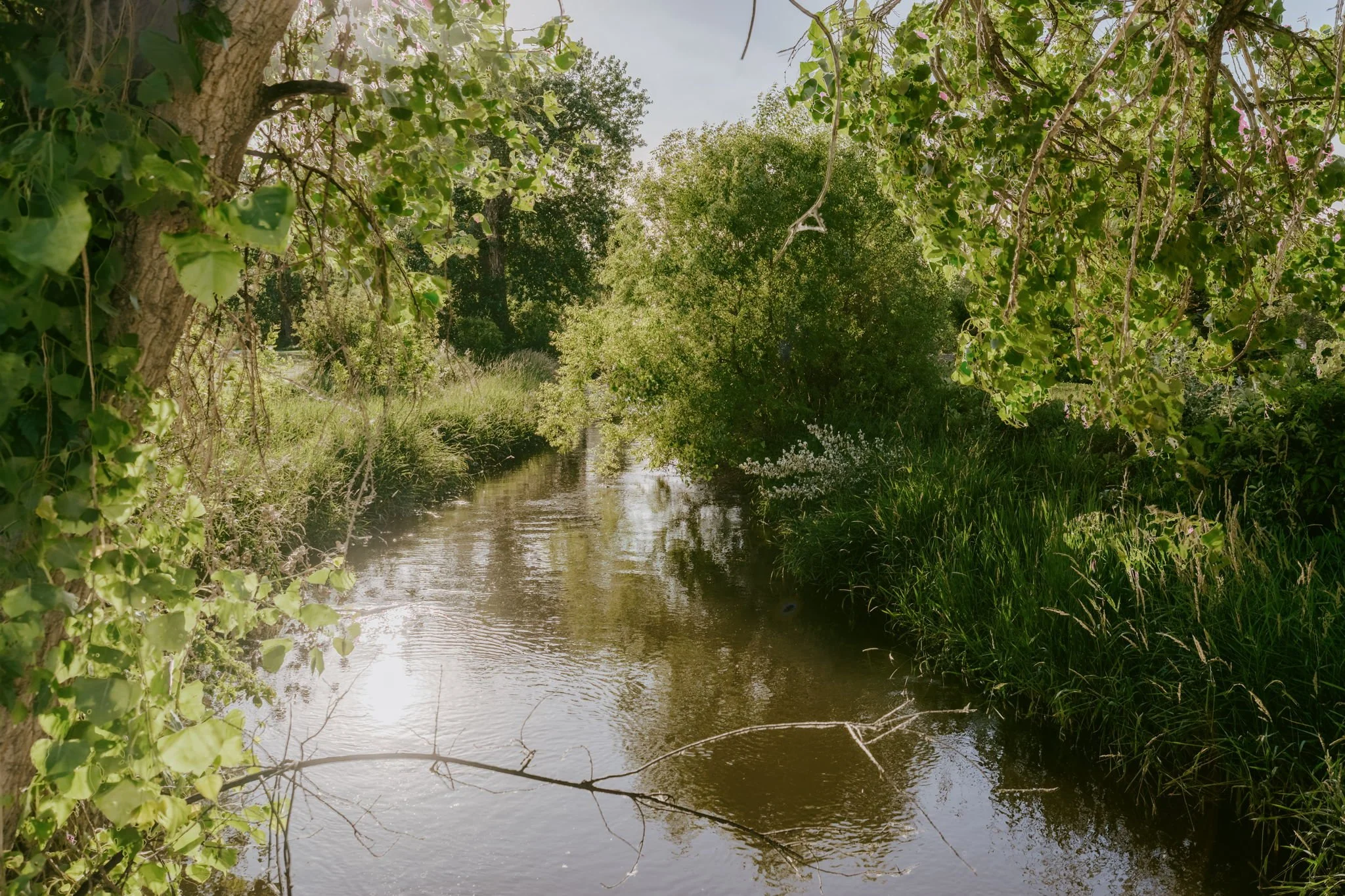 Scenic ditch on the front of the property