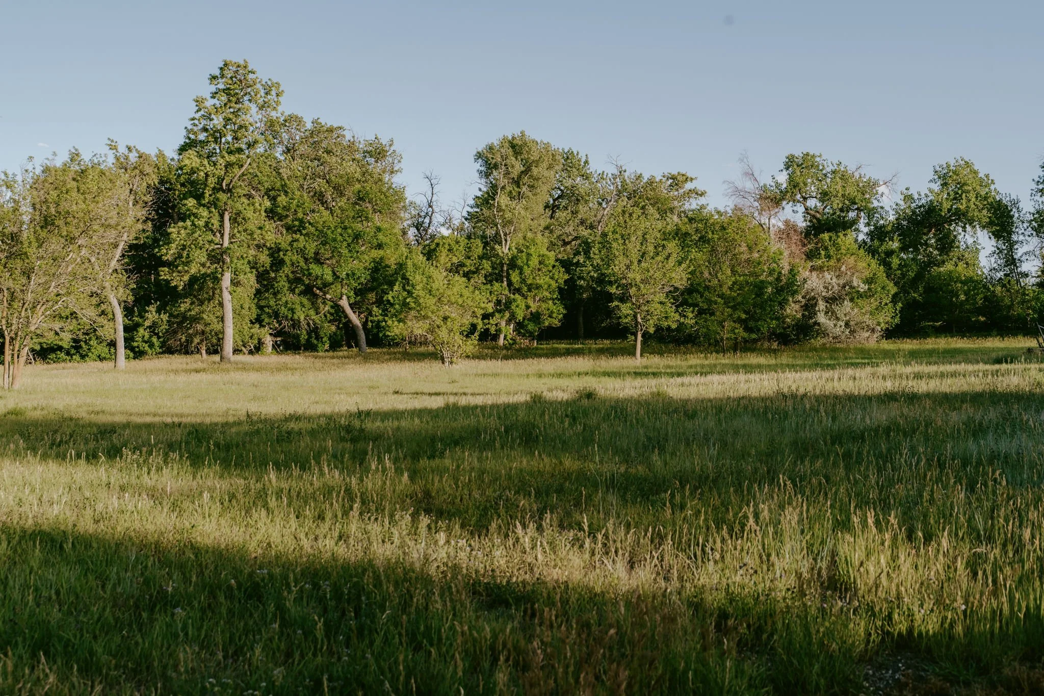 Website Sall Listing 6220 Chokecherry Dr - 87.jpg