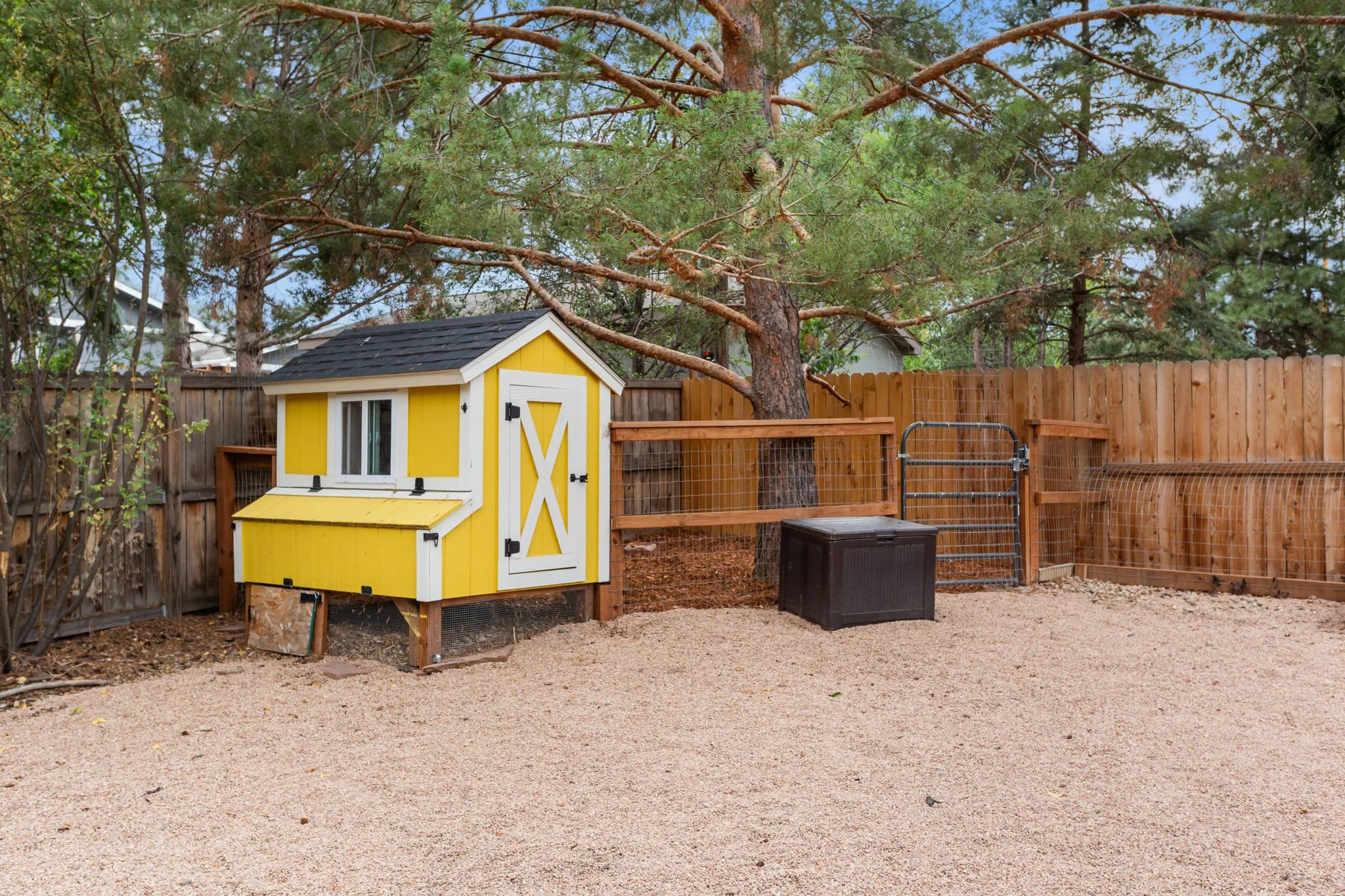 Custom-Built Chicken Coop & Run (and No HOA!)