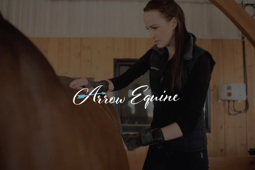 Arrow-Equine-Home-Images3.jpg