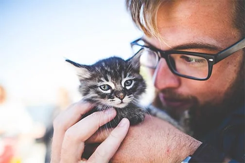  Photo Courtesy of Aidan Meyer via Unsplash