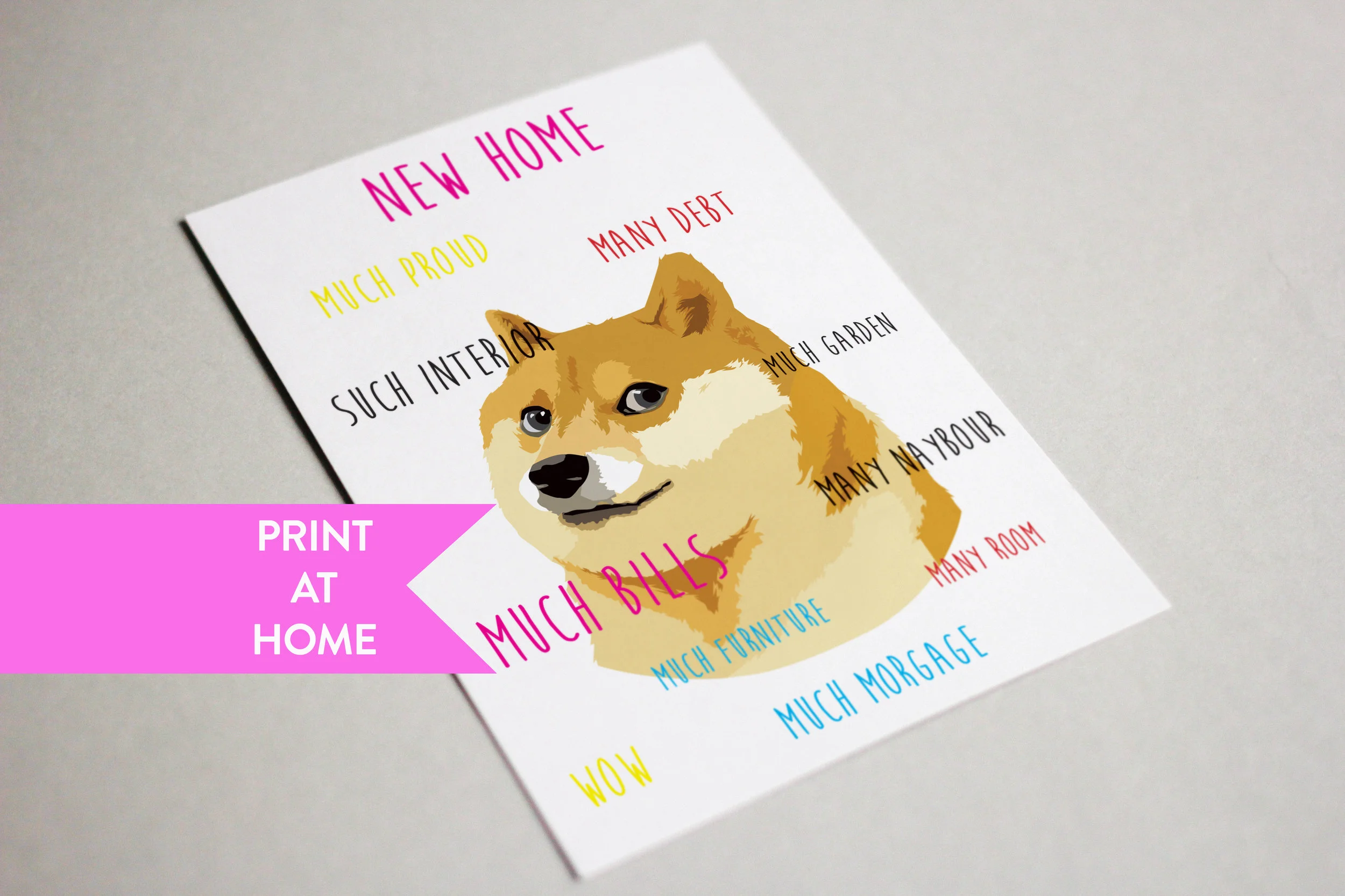 Doge - New home 1.jpg