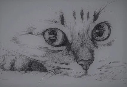 04f411f5a38448ebe7faeb2a323fc53d.jpg