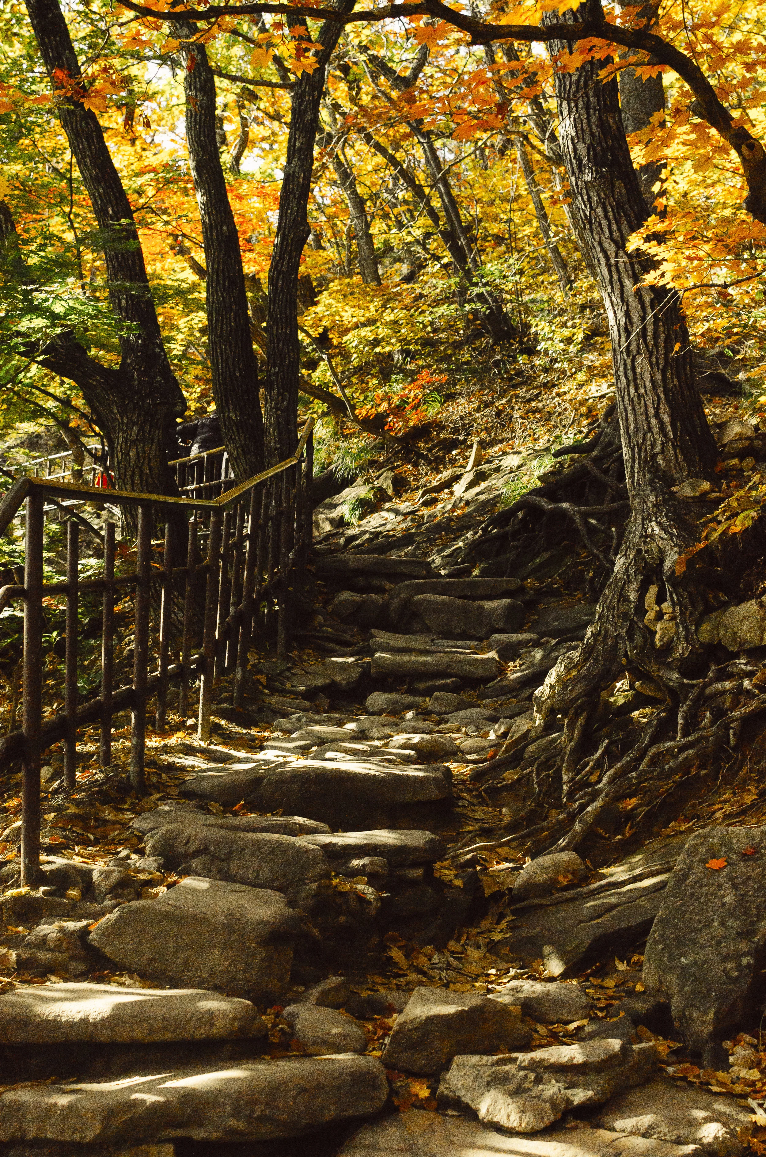 _DSC0390.jpg