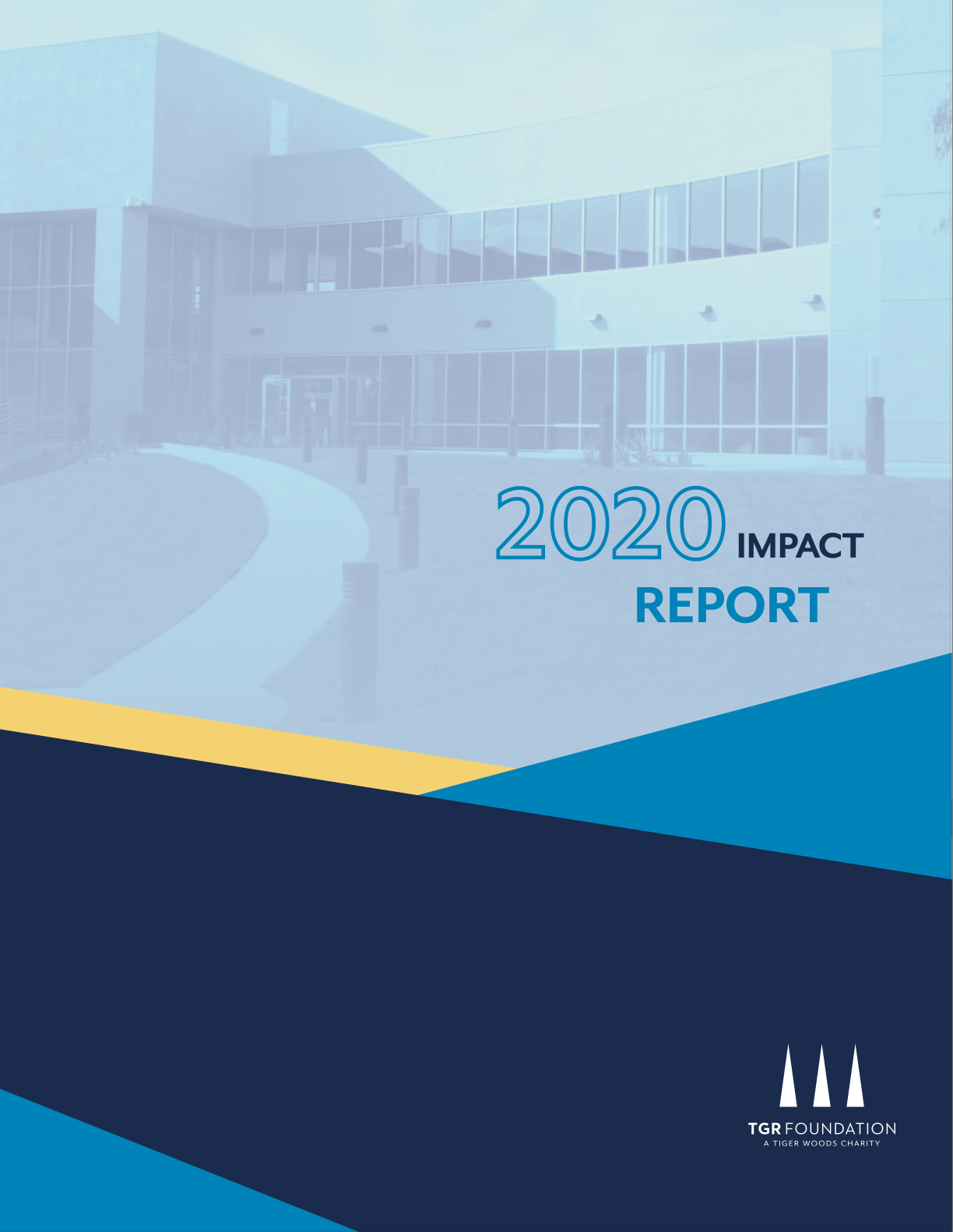 2020 Impact report.png